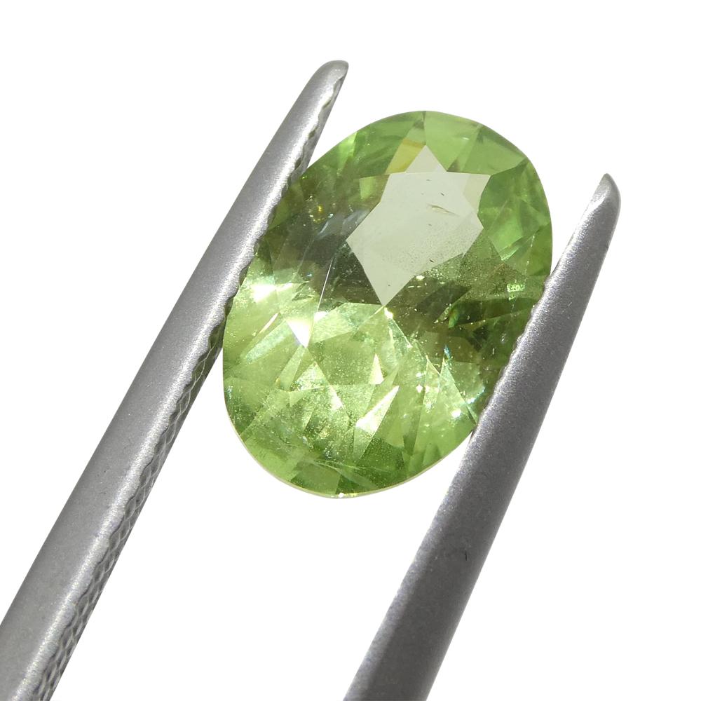 2.43ct Oval Green Mint Garnet from Tanzania For Sale 7