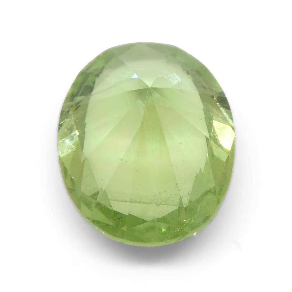 2.43ct Oval Green Mint Garnet from Tanzania For Sale 8