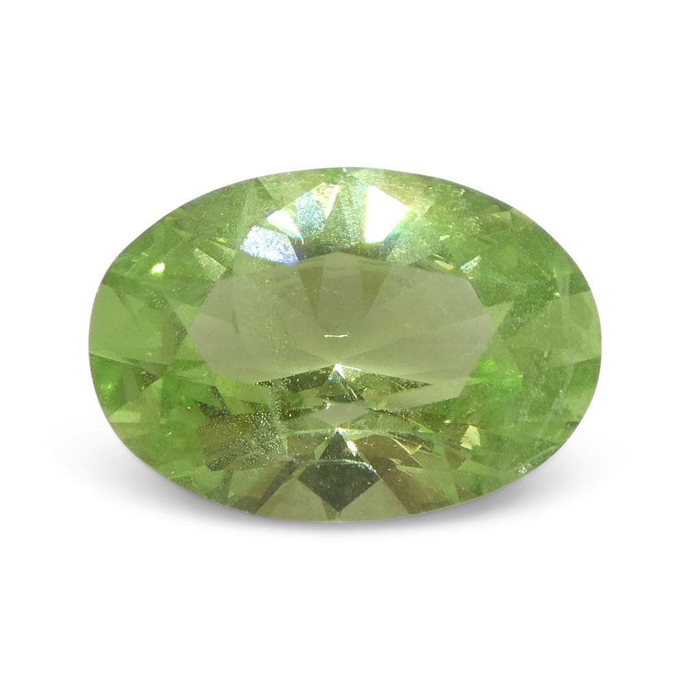 2.43ct Oval Green Mint Garnet from Tanzania In New Condition For Sale In Toronto, Ontario
