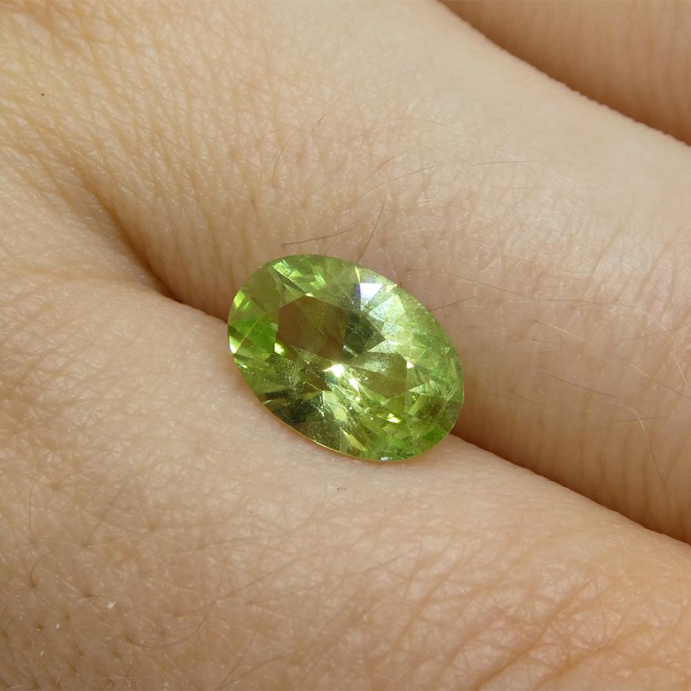 Women's or Men's 2.43ct Oval Green Mint Garnet from Tanzania For Sale