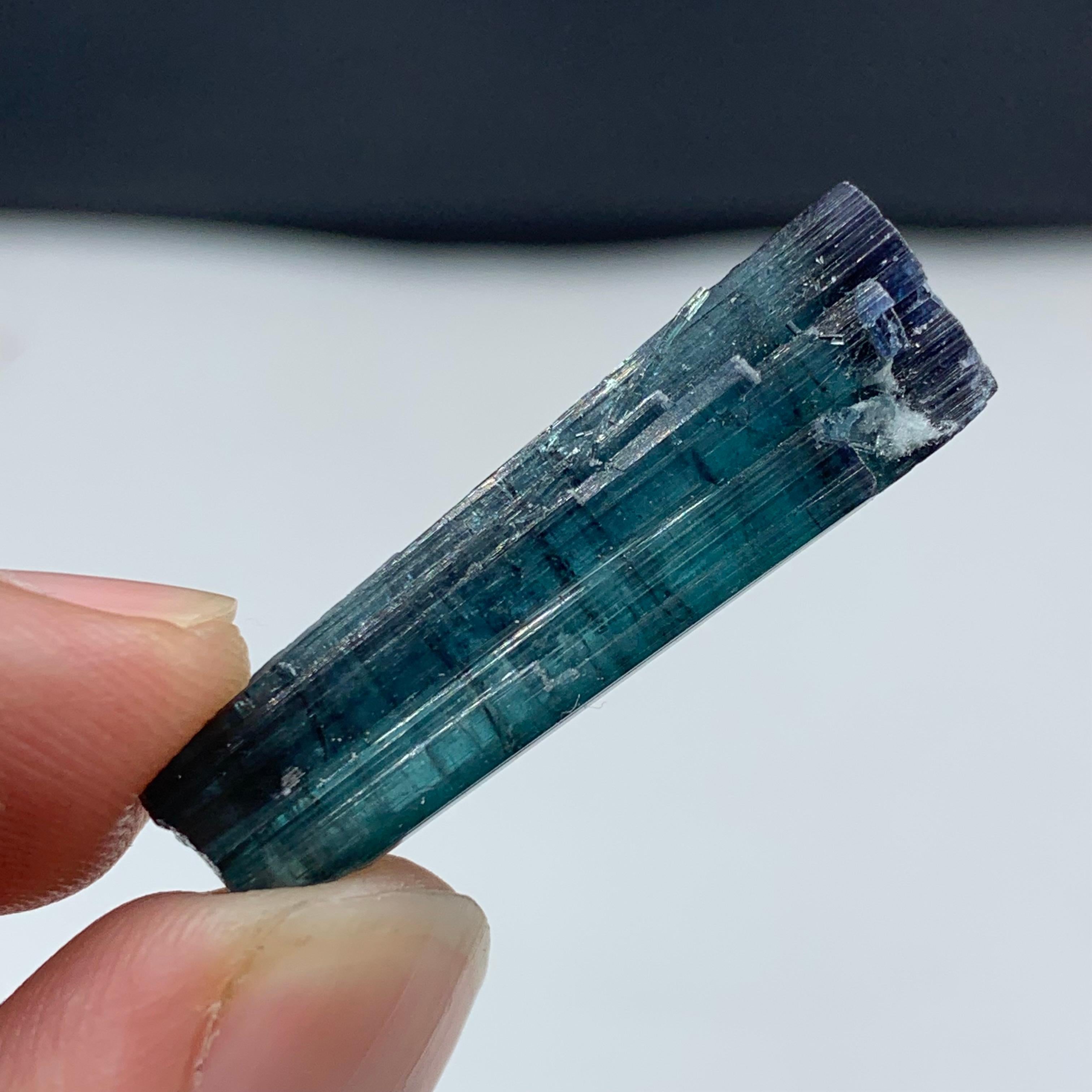 24,45 Karat schmuckvoller zweifarbiger Turmalin-Kristall aus Kunar, Afghanistan im Angebot 4