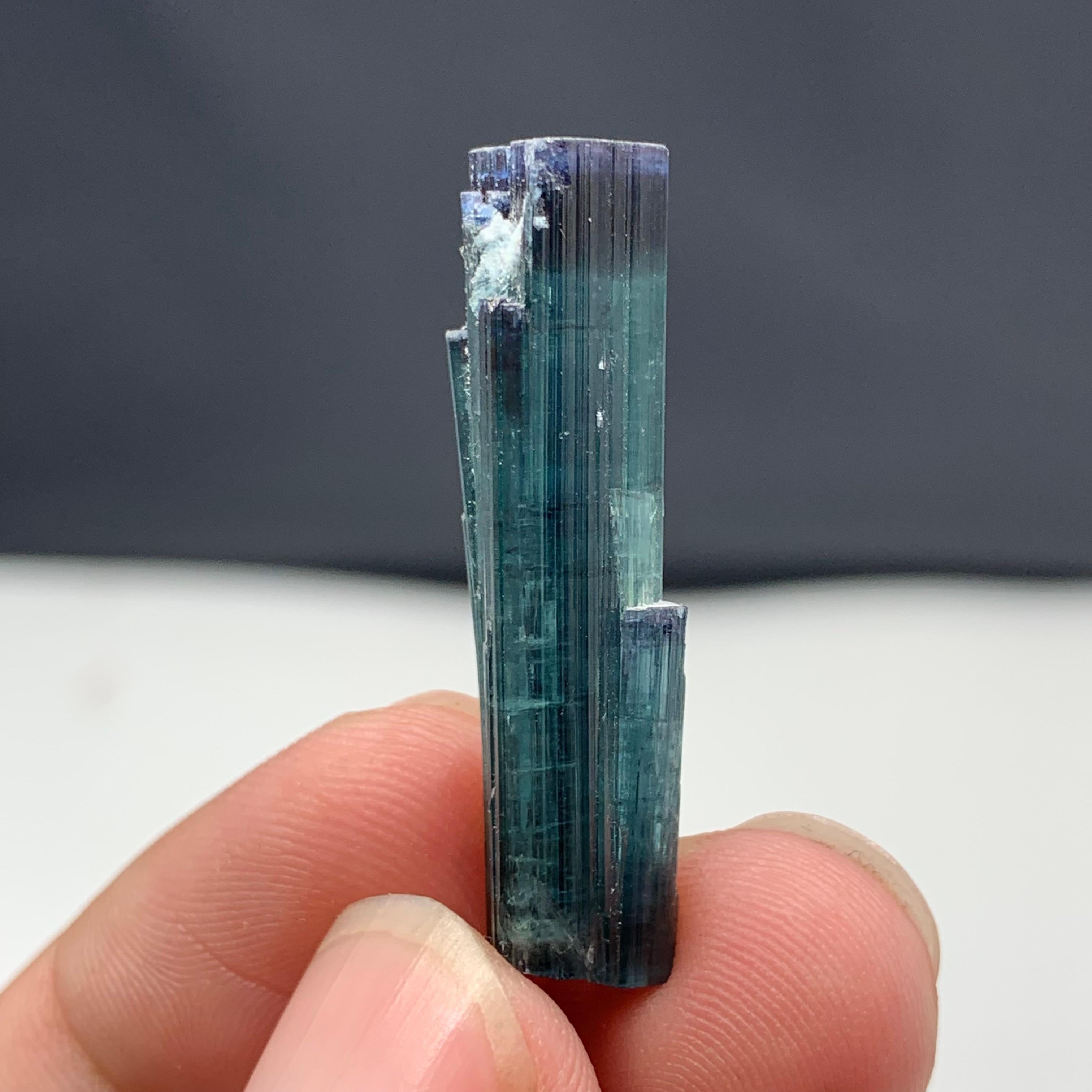 24,45 Karat schmuckvoller zweifarbiger Turmalin-Kristall aus Kunar, Afghanistan im Angebot 9