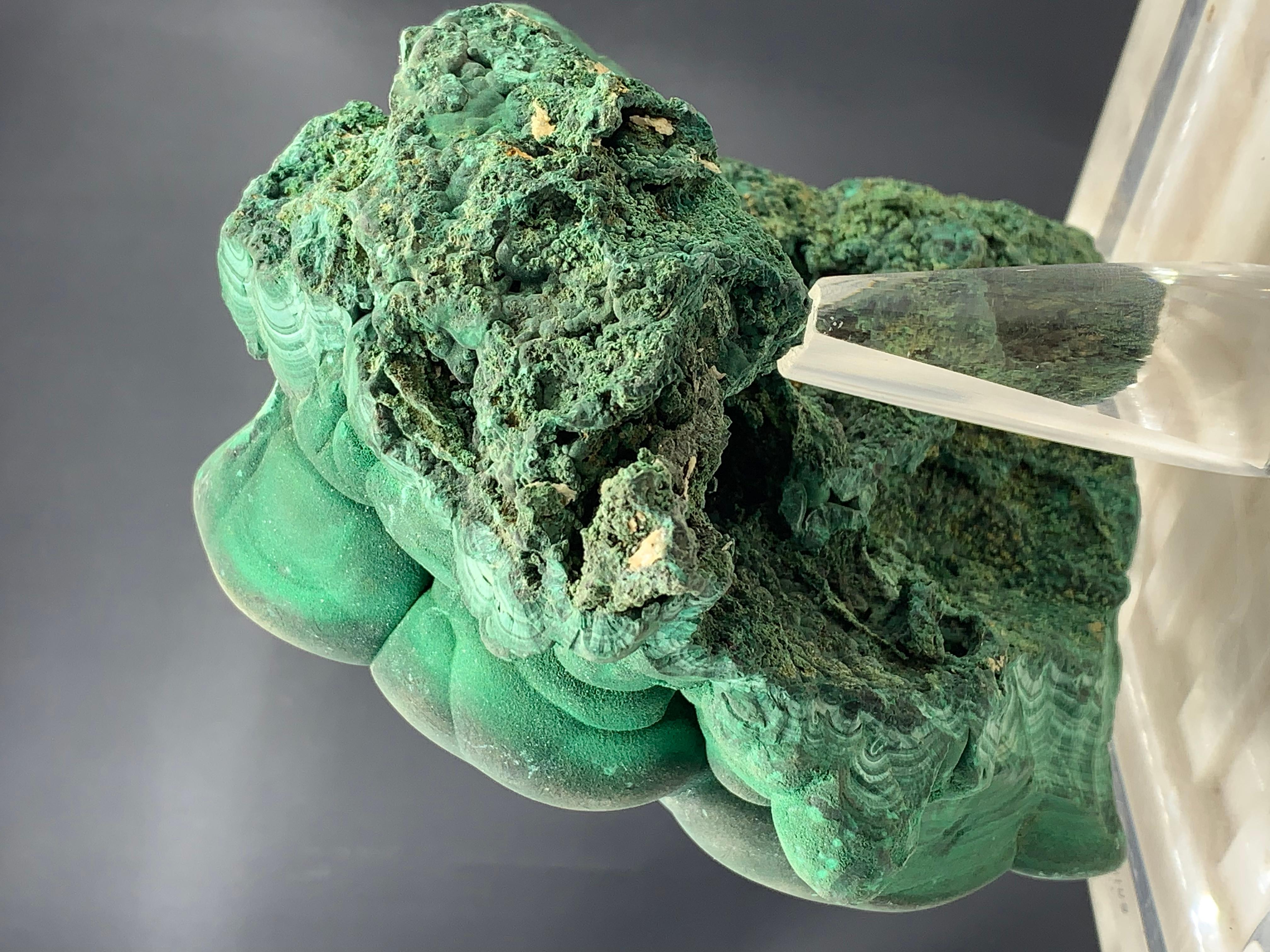 2446 Gram Huge Forest Green Malachite Crystal From Shilu Mine, Guangdong, China  For Sale 3