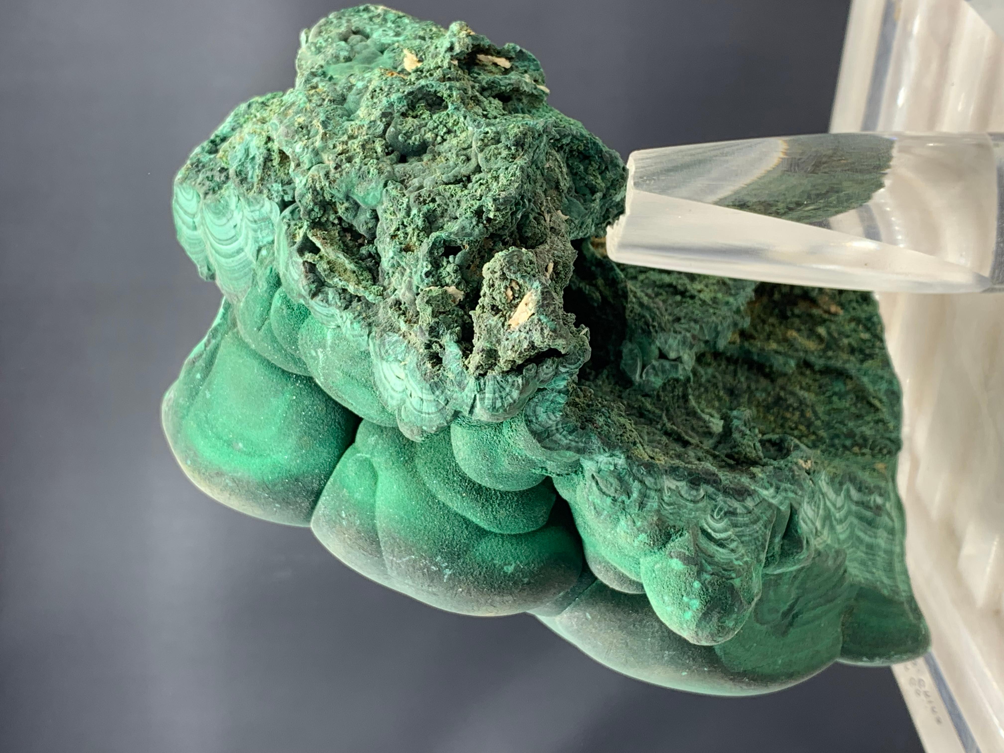 2446 Gram Huge Forest Green Malachite Crystal From Shilu Mine, Guangdong, China  For Sale 4