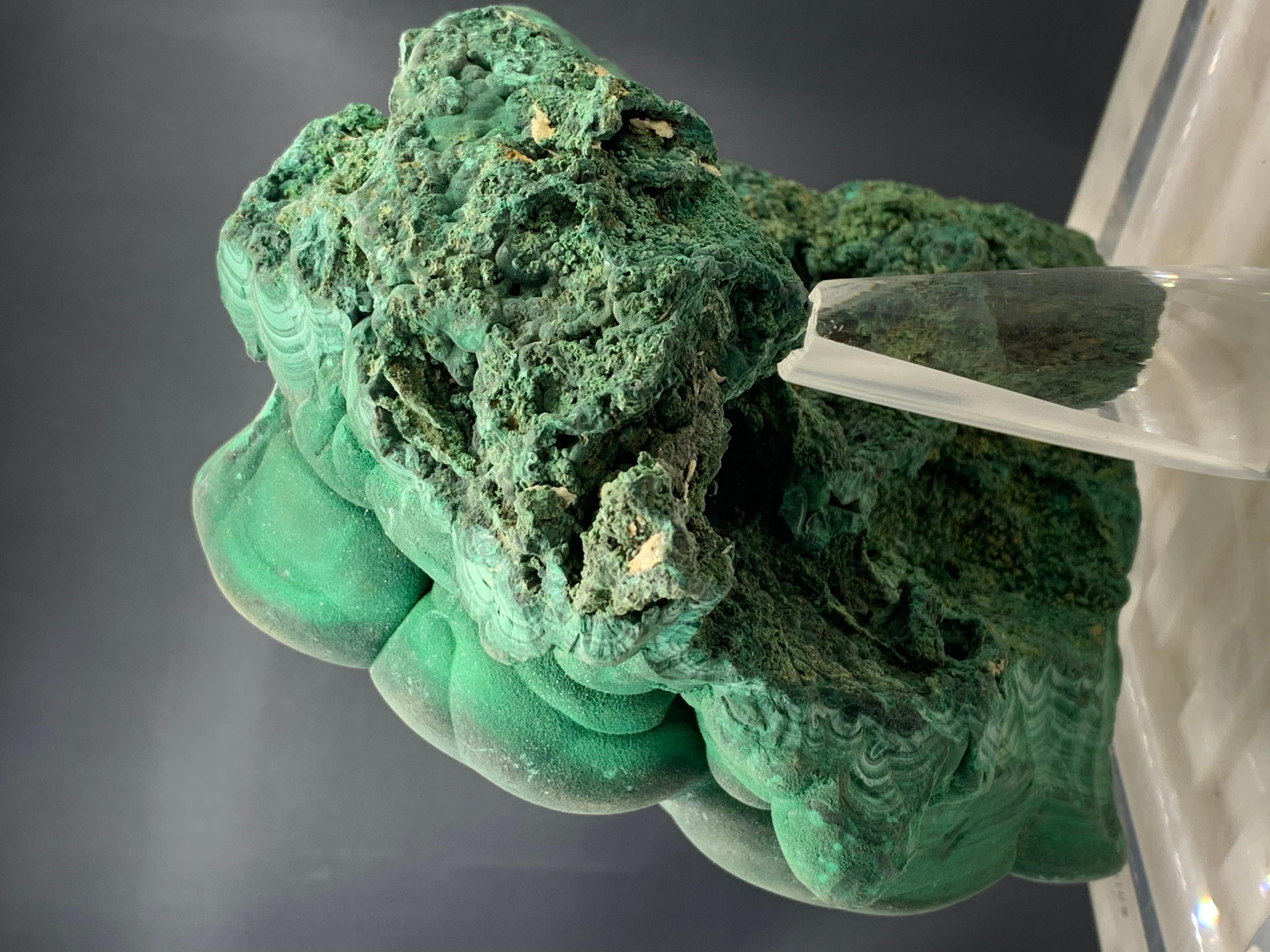 2446 Gram Huge Forest Green Malachite Crystal From Shilu Mine, Guangdong, China  For Sale 6