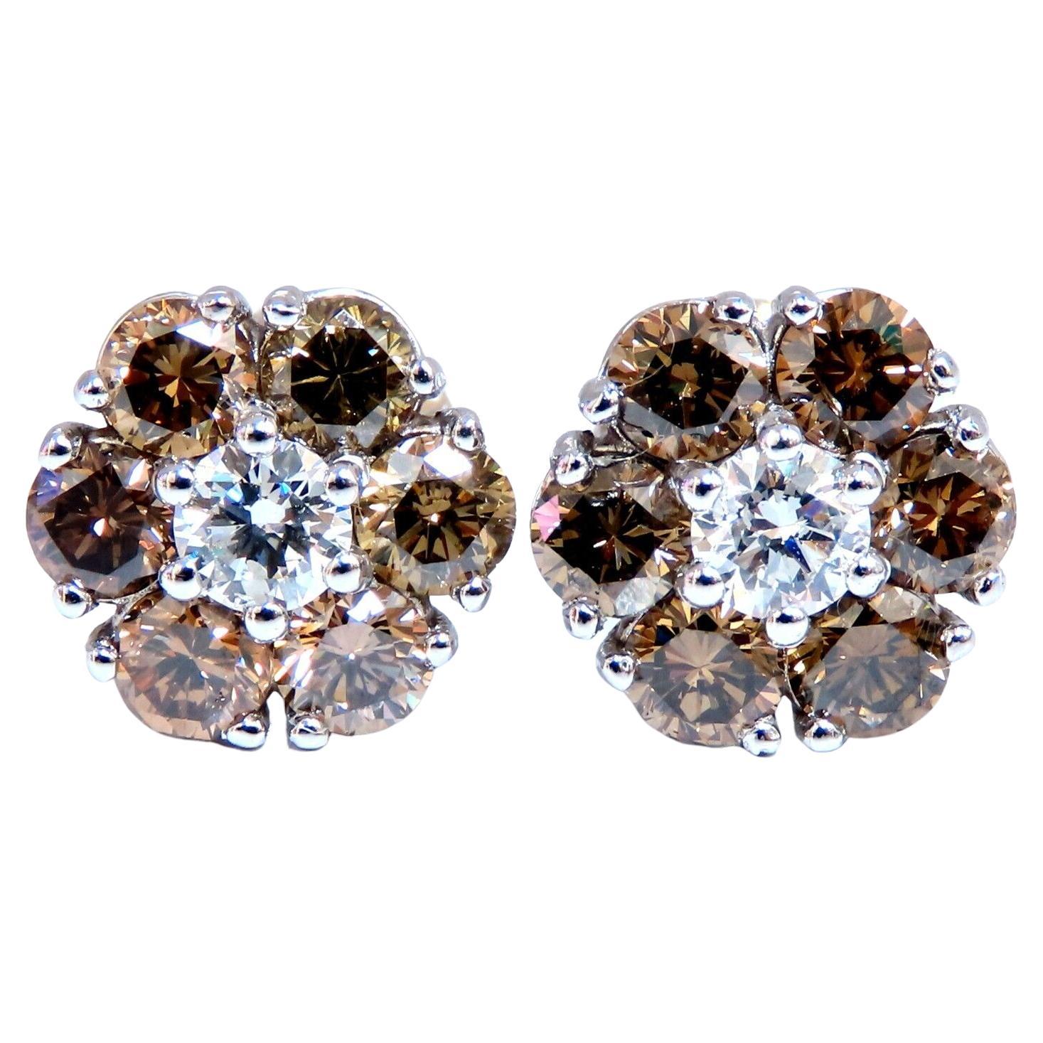 Boucles d'oreilles grappe de diamants ronds naturels de 2,44ct. 14 carats Fancy Browns