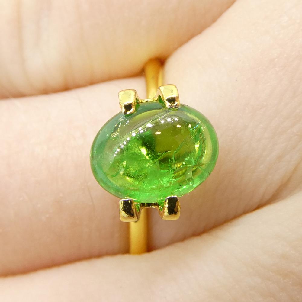 Description:

Gem Type: Tsavorite Garnet 
Number of Stones: 1
Weight: 2.44 cts
Measurements: 9.15 x 7.05 x 4.01 mm
Shape: Oval
Cutting Style Crown: 
Cutting Style Pavilion:  
Transparency: Transparent
Clarity: Moderately Included: Inclusions easily
