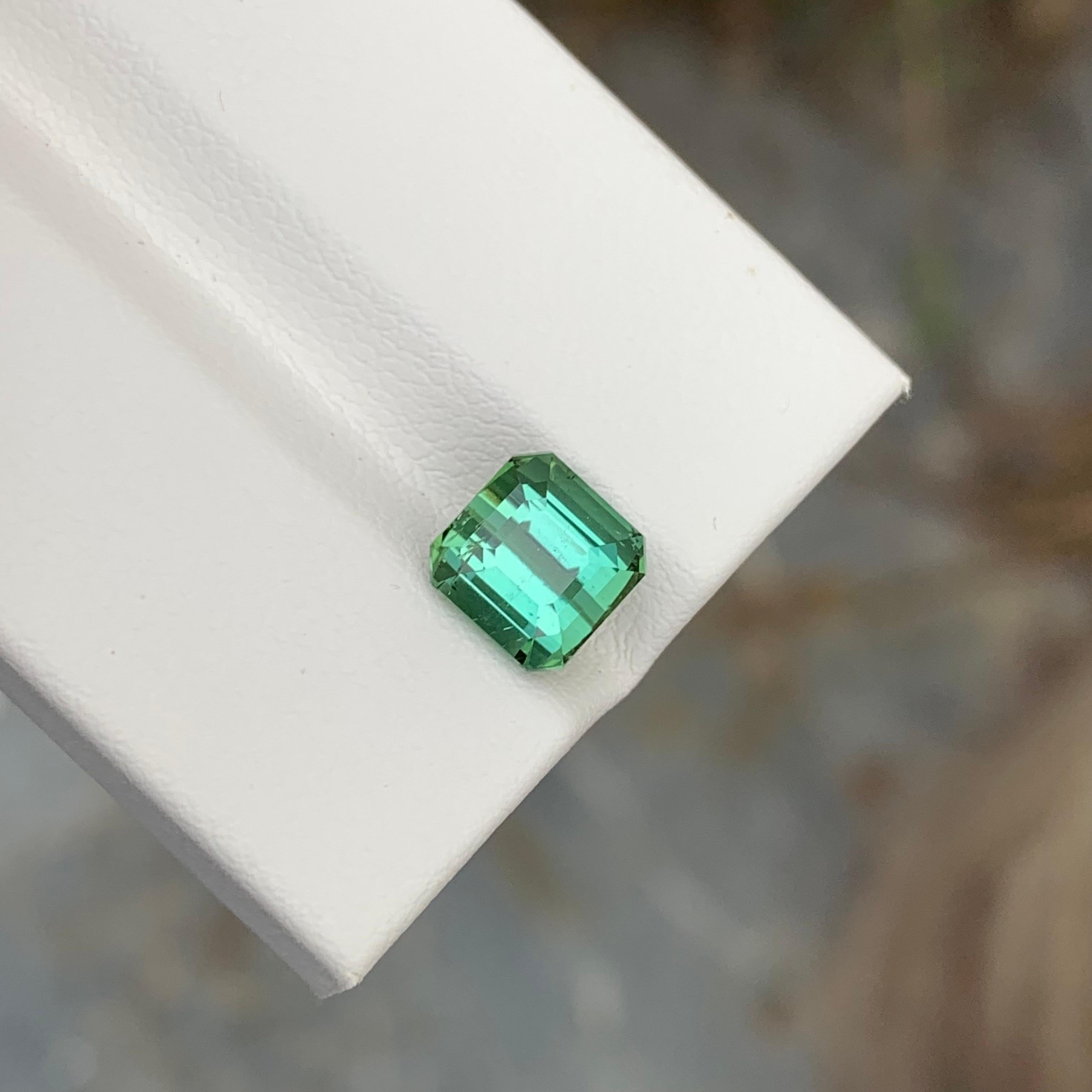 2.45 Carat Natural Loose Green Tourmaline Cushion Shape Gem For Jewellery (Tourmaline verte en forme de coussin pour bijoux) en vente 4