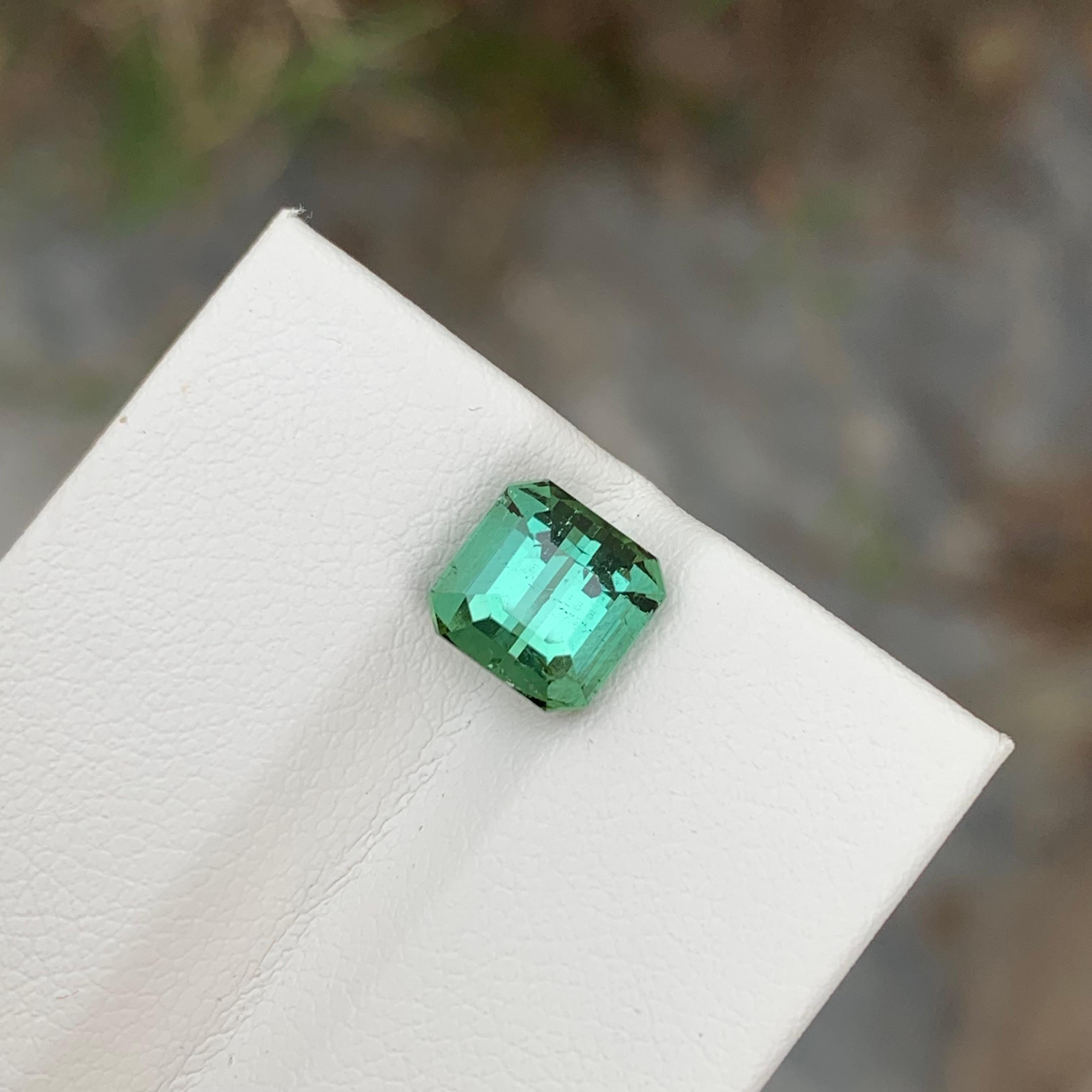 2.45 Carat Natural Loose Green Tourmaline Cushion Shape Gem For Jewellery (Tourmaline verte en forme de coussin pour bijoux) en vente 5