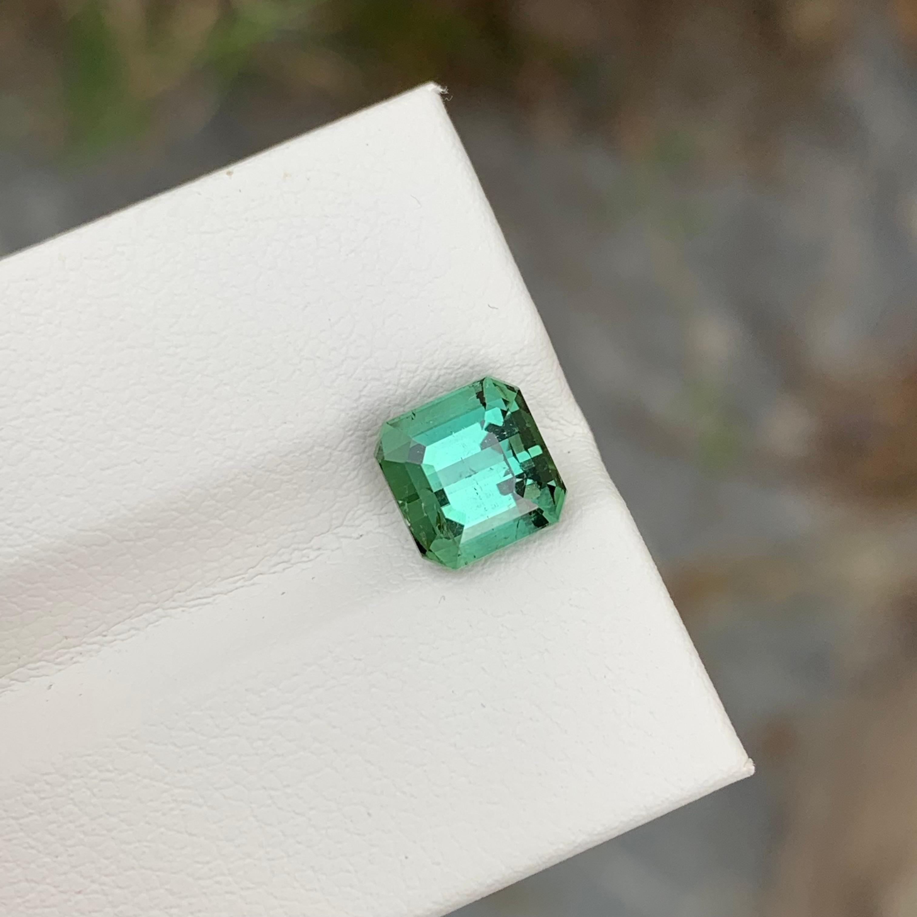 2.45 Carat Natural Loose Green Tourmaline Cushion Shape Gem For Jewellery (Tourmaline verte en forme de coussin pour bijoux) Unisexe en vente
