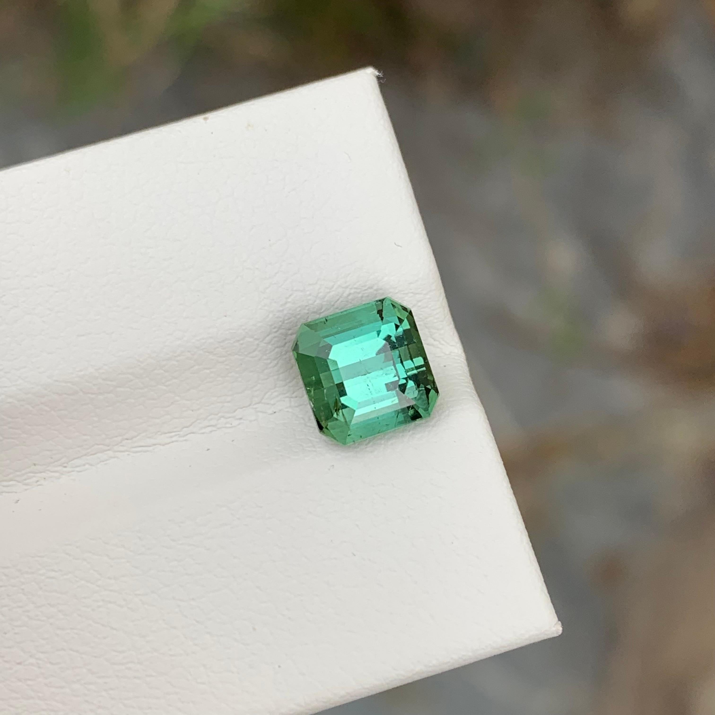 2.45 Carat Natural Loose Green Tourmaline Cushion Shape Gem For Jewellery (Tourmaline verte en forme de coussin pour bijoux) en vente 1