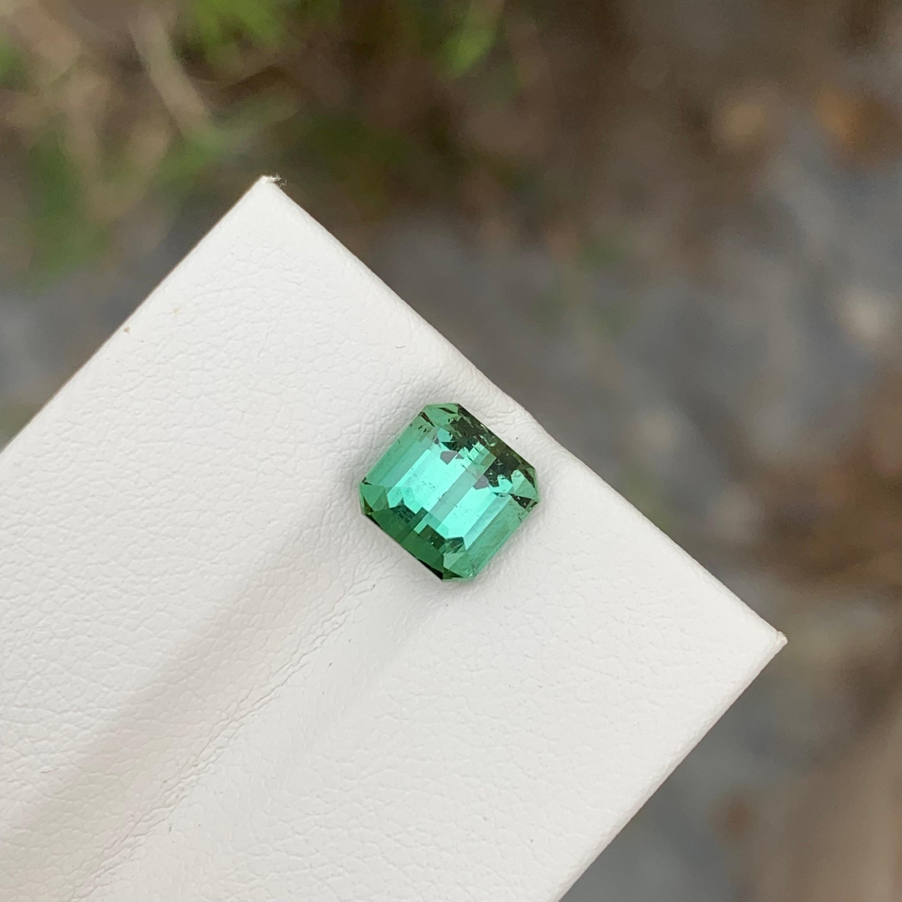 2.45 Carat Natural Loose Green Tourmaline Cushion Shape Gem For Jewellery (Tourmaline verte en forme de coussin pour bijoux) en vente 2