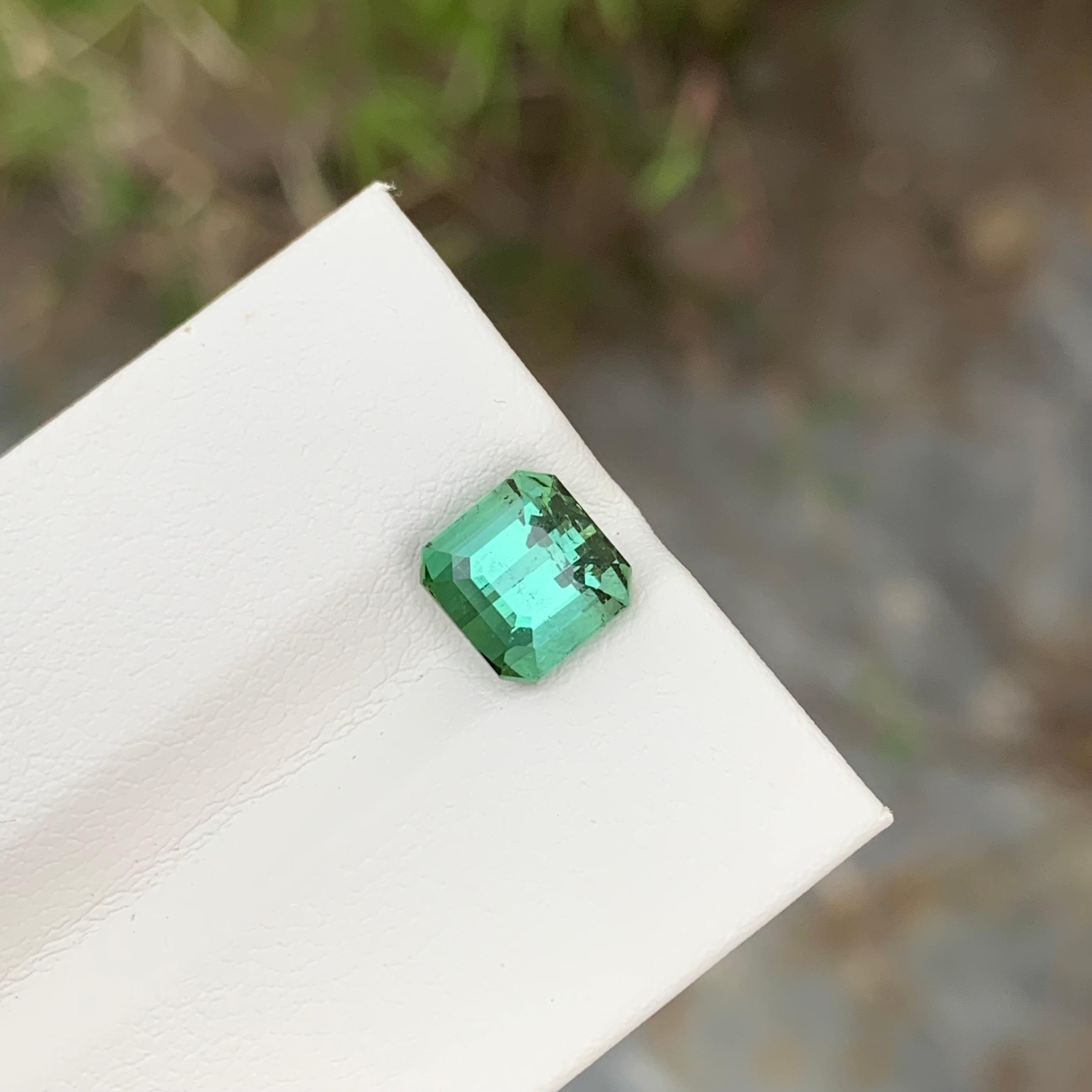2.45 Carat Natural Loose Green Tourmaline Cushion Shape Gem For Jewellery (Tourmaline verte en forme de coussin pour bijoux) en vente 3