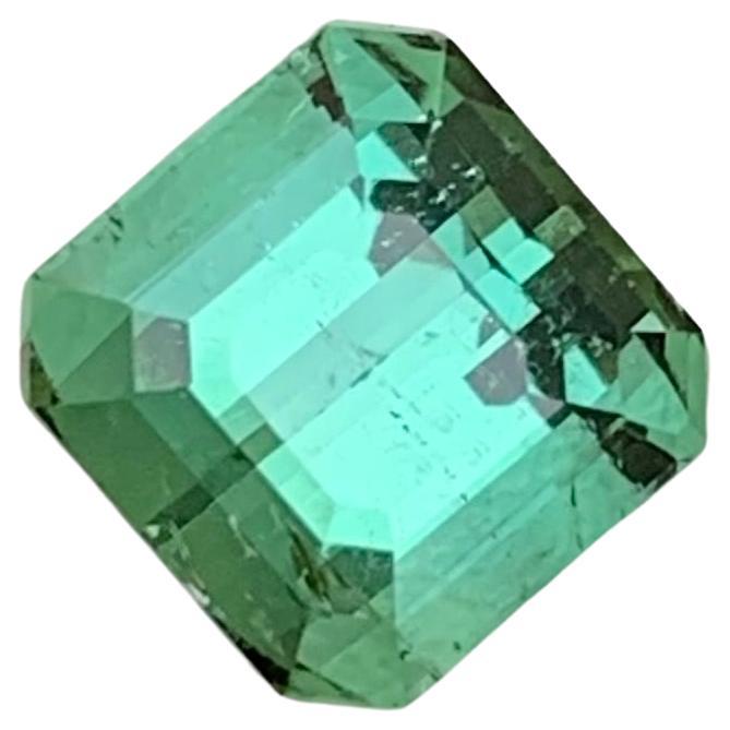 2.45 Carat Natural Loose Green Tourmaline Cushion Shape Gem For Jewellery (Tourmaline verte en forme de coussin pour bijoux) 