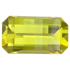 24.55 Carat Natural Loose Green Gold Lemon Quartz Pixel Cut Gemstone