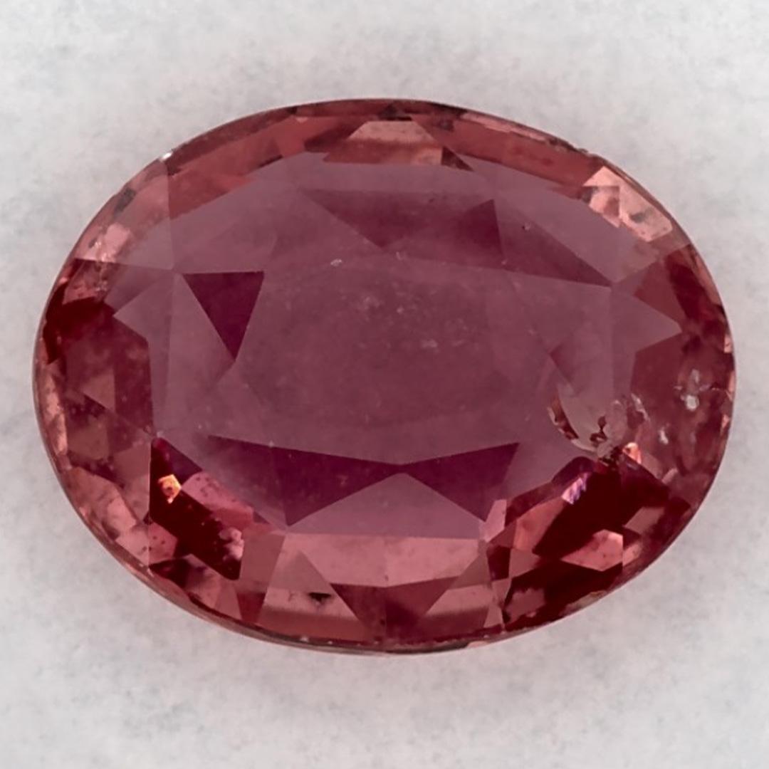 2.46 Ct Pink Sapphire Oval Loose Gemstone (pierre précieuse en vrac) Neuf - En vente à Fort Lee, NJ
