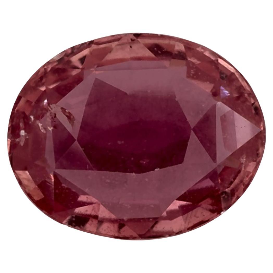 2.46 Ct Pink Sapphire Oval Loose Gemstone (pierre précieuse en vrac) en vente