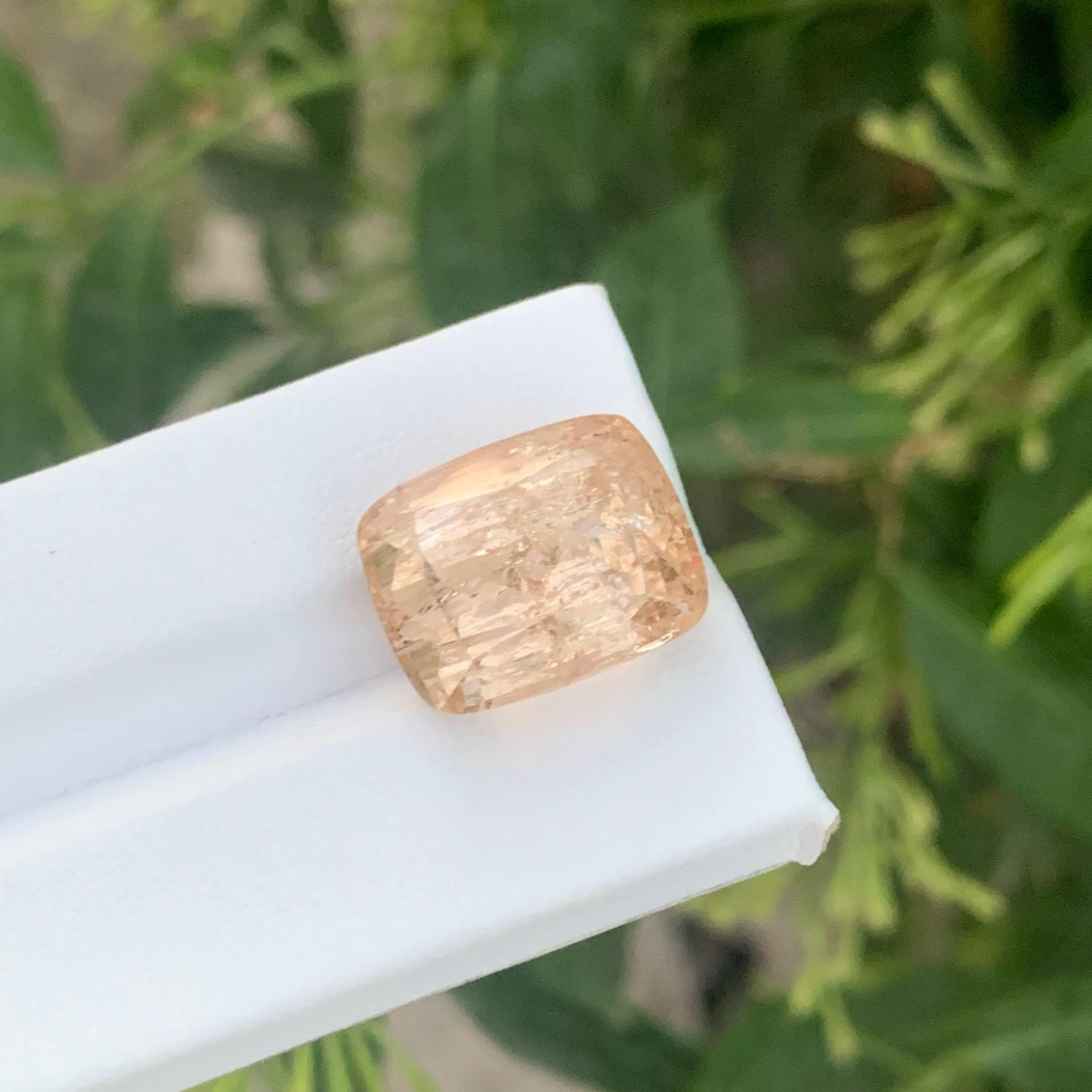 24,65 Karat Natürlicher loser Imperial Topas Stein Cushion Cut Pakistanischer Edelstein im Angebot 4