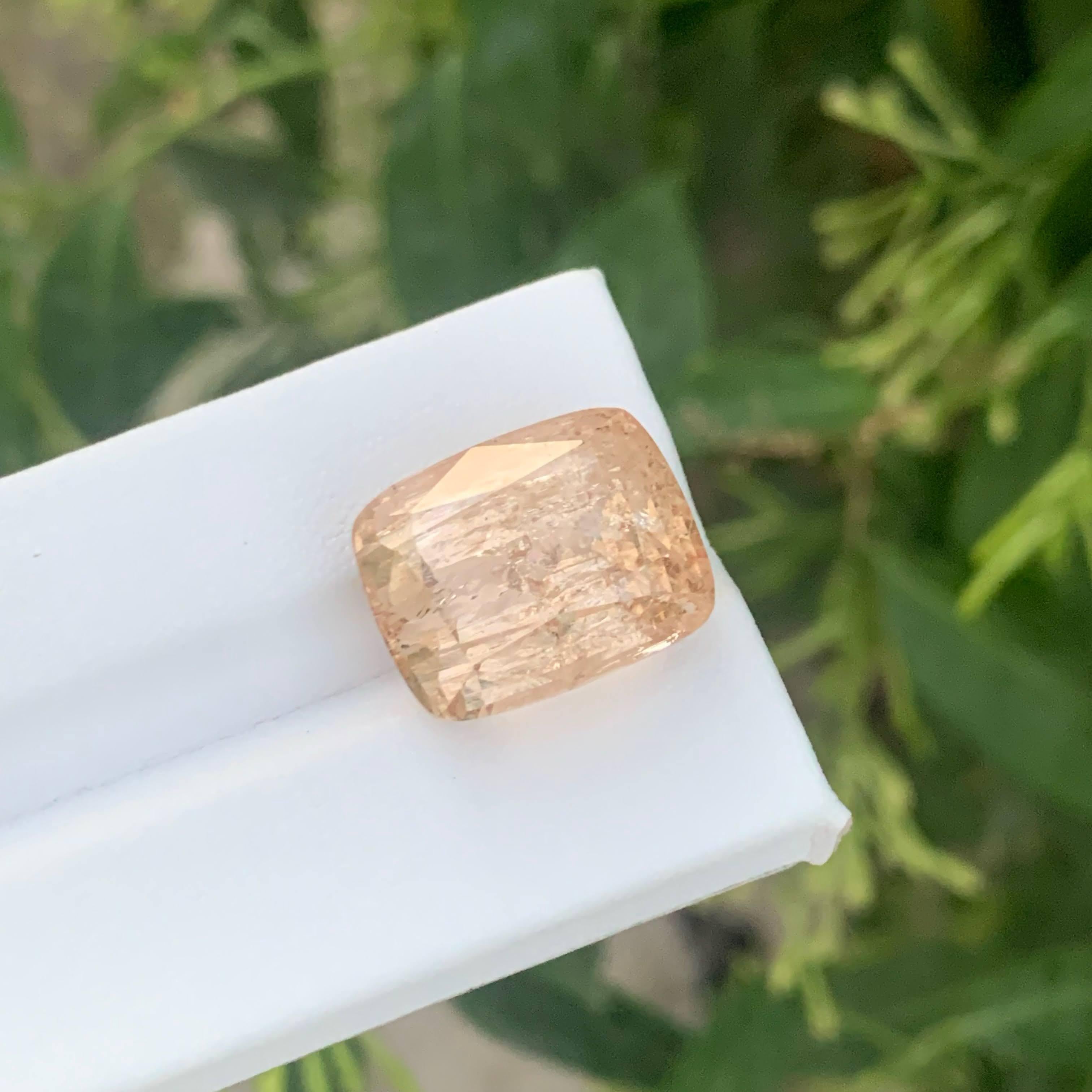 24,65 Karat Natürlicher loser Imperial Topas Stein Cushion Cut Pakistanischer Edelstein im Angebot 5