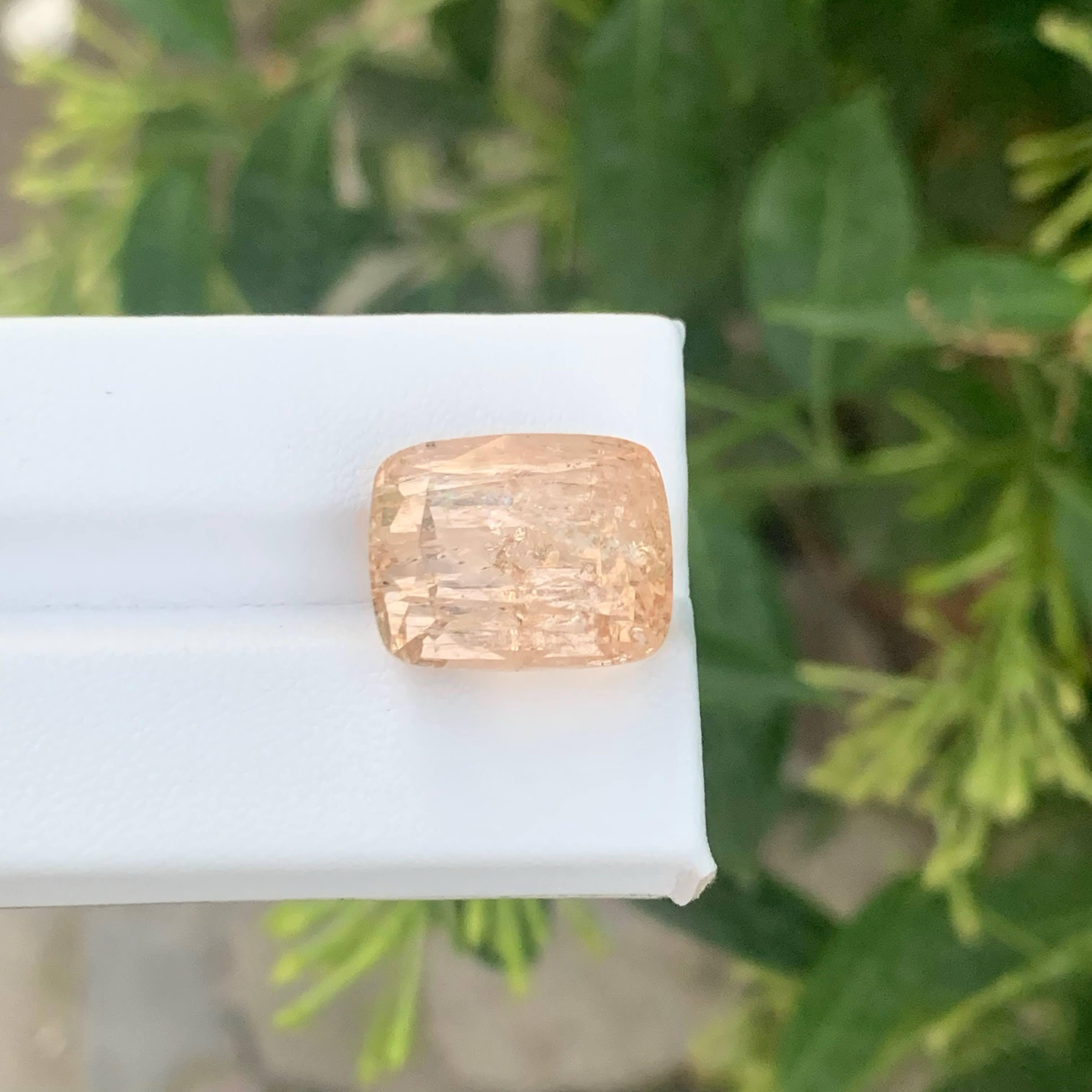 24,65 Karat Natürlicher loser Imperial Topas Stein Cushion Cut Pakistanischer Edelstein im Zustand „Neu“ im Angebot in Bangkok, TH