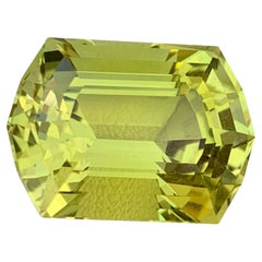 24.95 Carat Natural Loose Lemon Color Citrine Baguette Cut Brazilian Gemstone (pierre précieuse brésilienne)