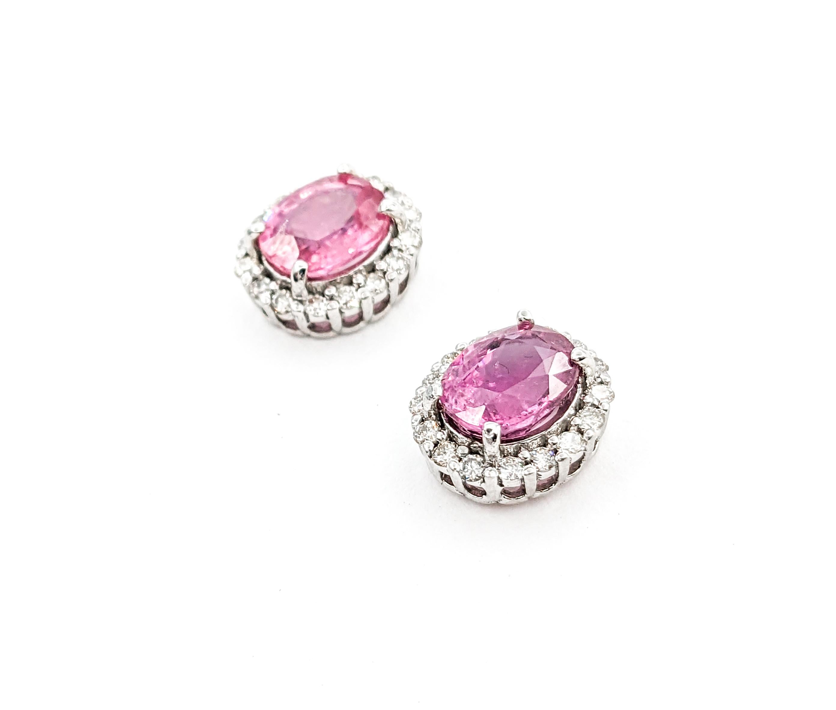 Round Cut 2.49ctw Pink Sapphires & Diamonds Stud Earring In White Gold For Sale