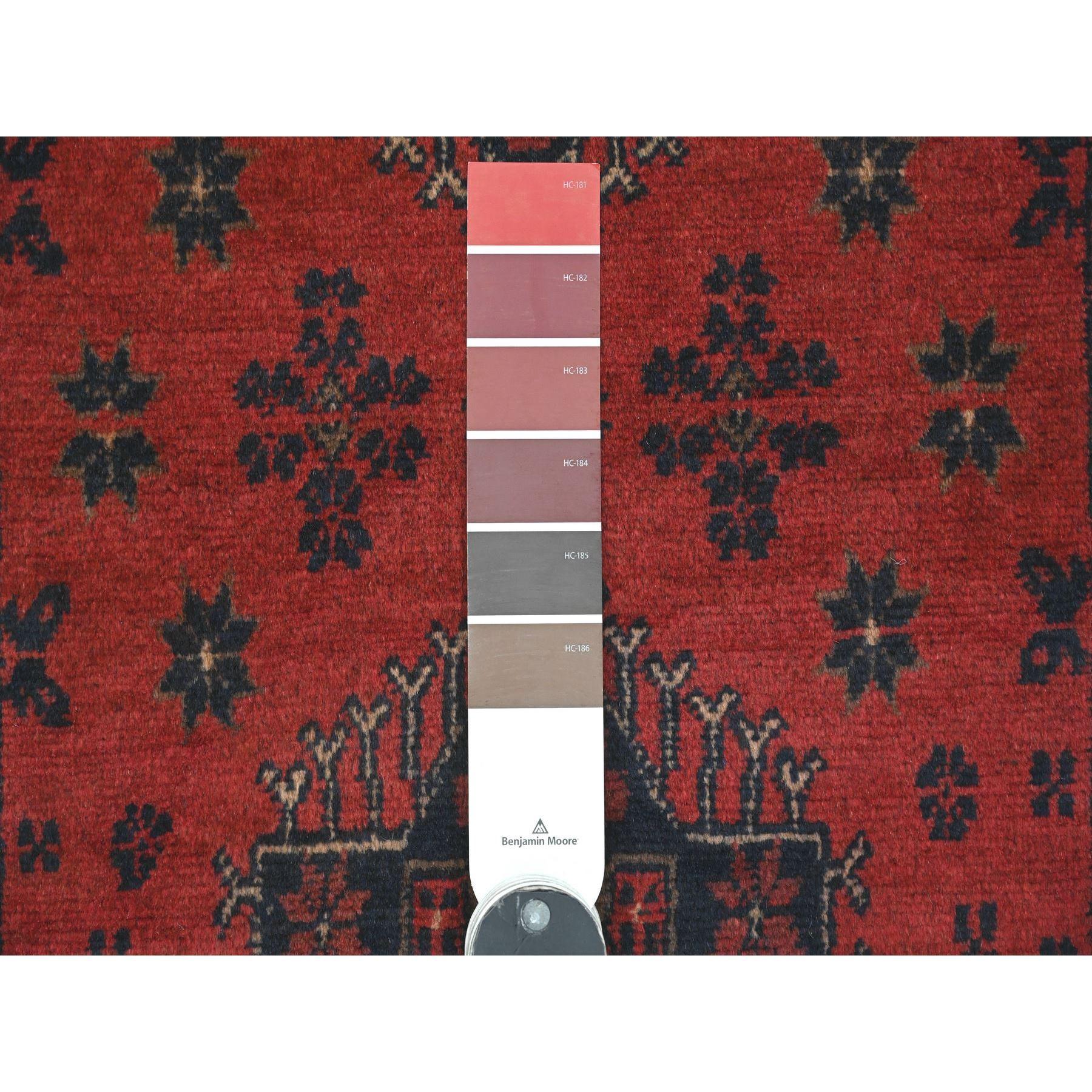 Tribal 2'4 