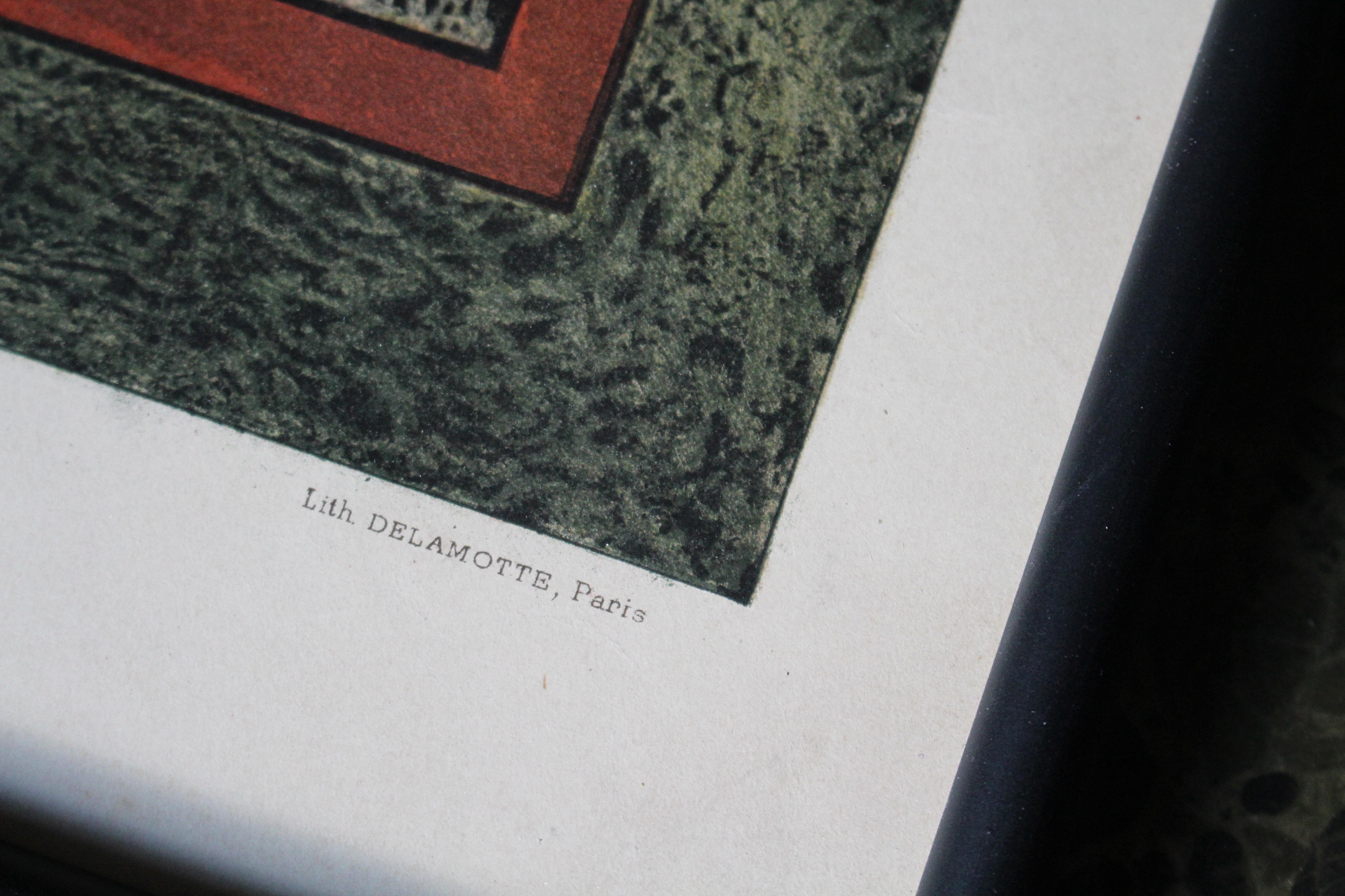 25 Chromolithograph Plates 