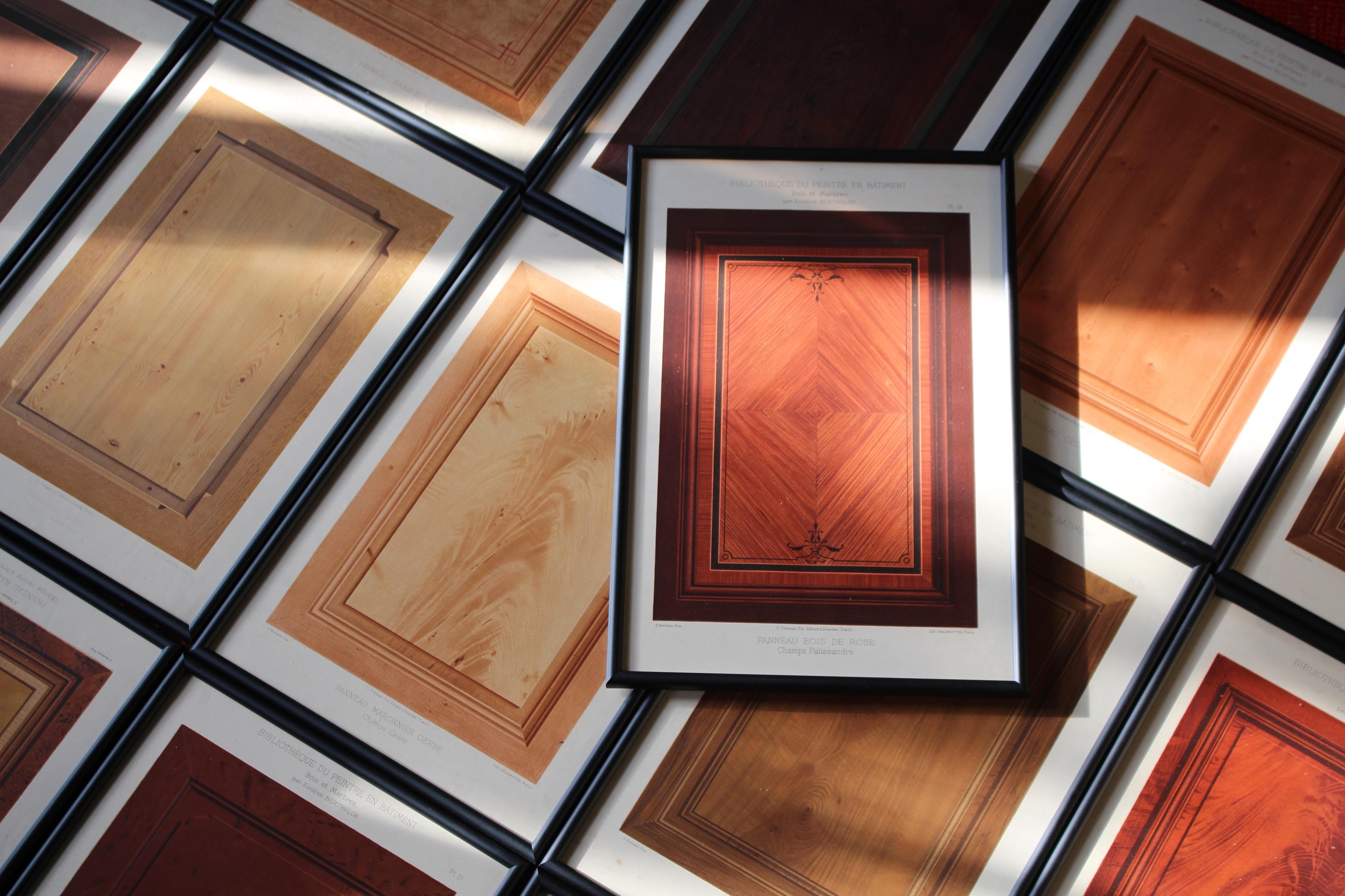25 Chromolithograph Plates 