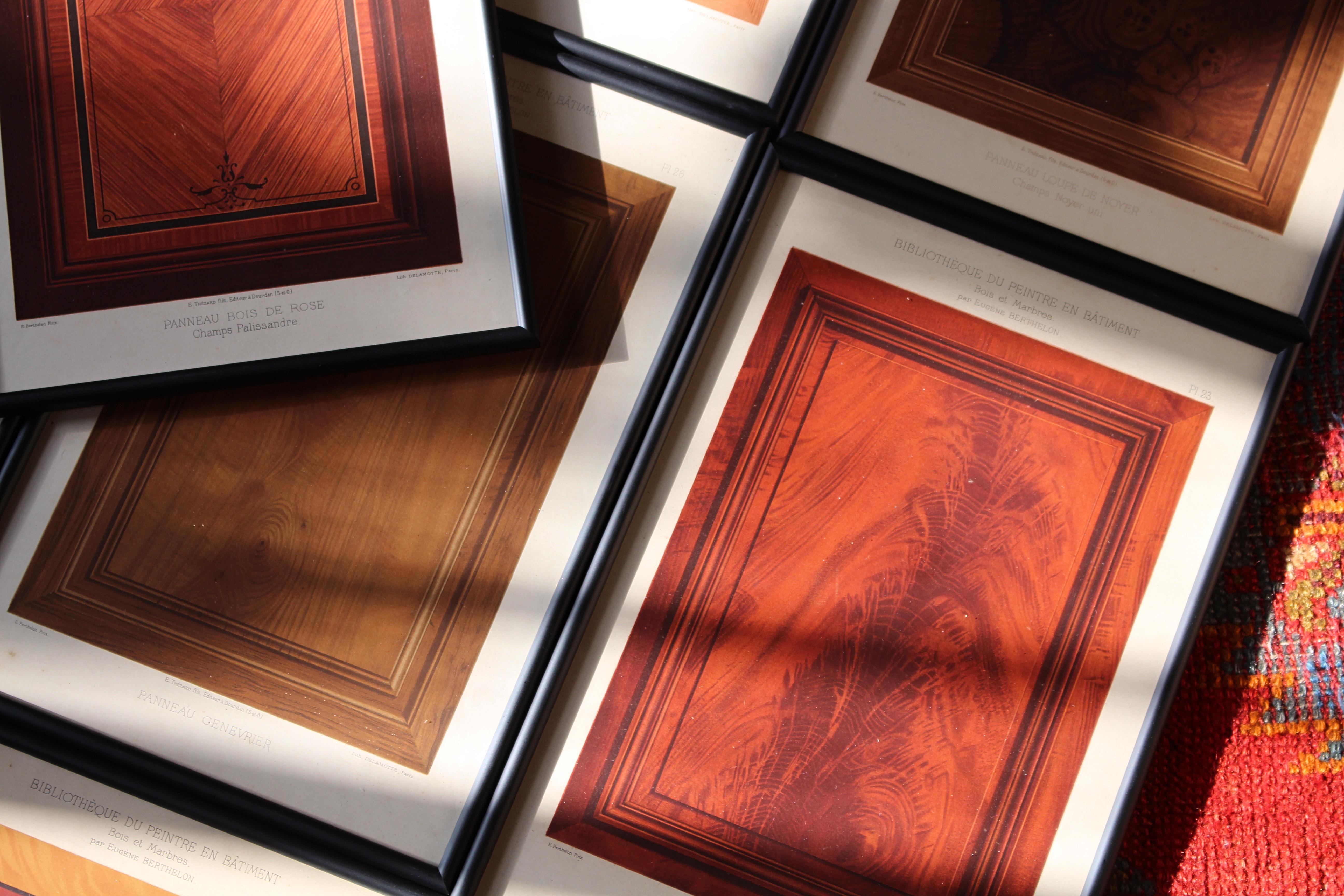 25 Chromolithograph Plates 