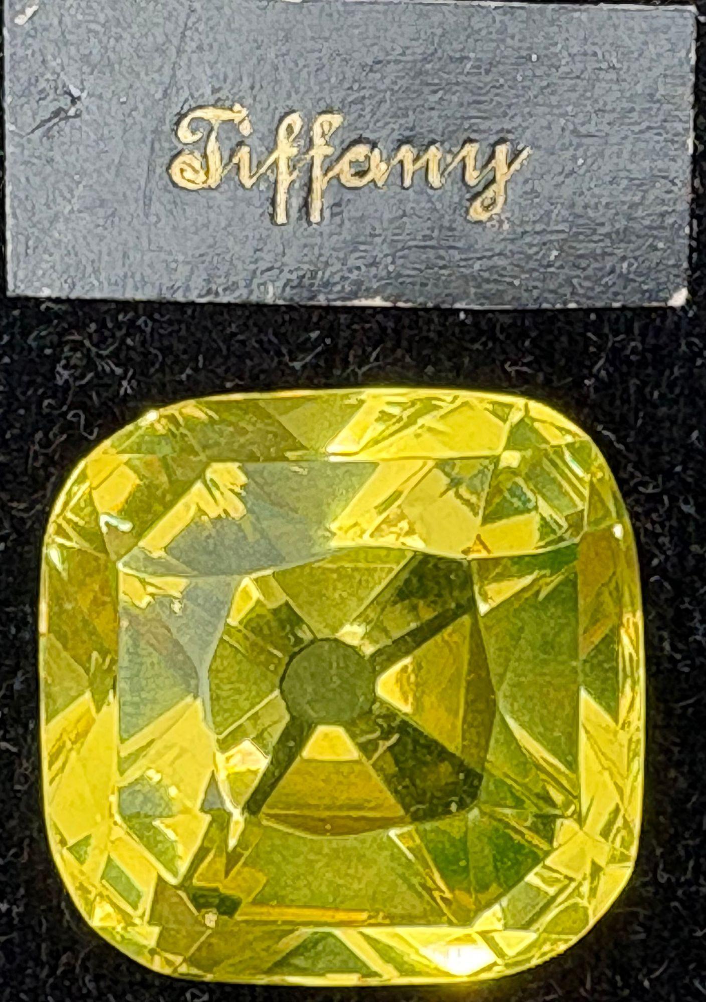 25 Glass Reproductions of Historical Diamonds, Leather Pad Case, Sotheby's Prov. For Sale 7