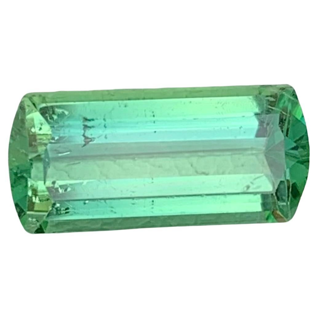 2.50 Carat Gorgeous Mint Green Tourmaline Emerald Shape Gem From Afghanistan