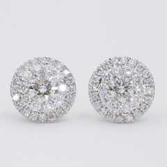2.50 Carat Natural Diamond Halo Stud Earrings in White Gold