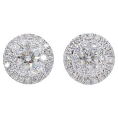2.50 Carat Natural Diamond Halo Stud Earrings in White Gold 