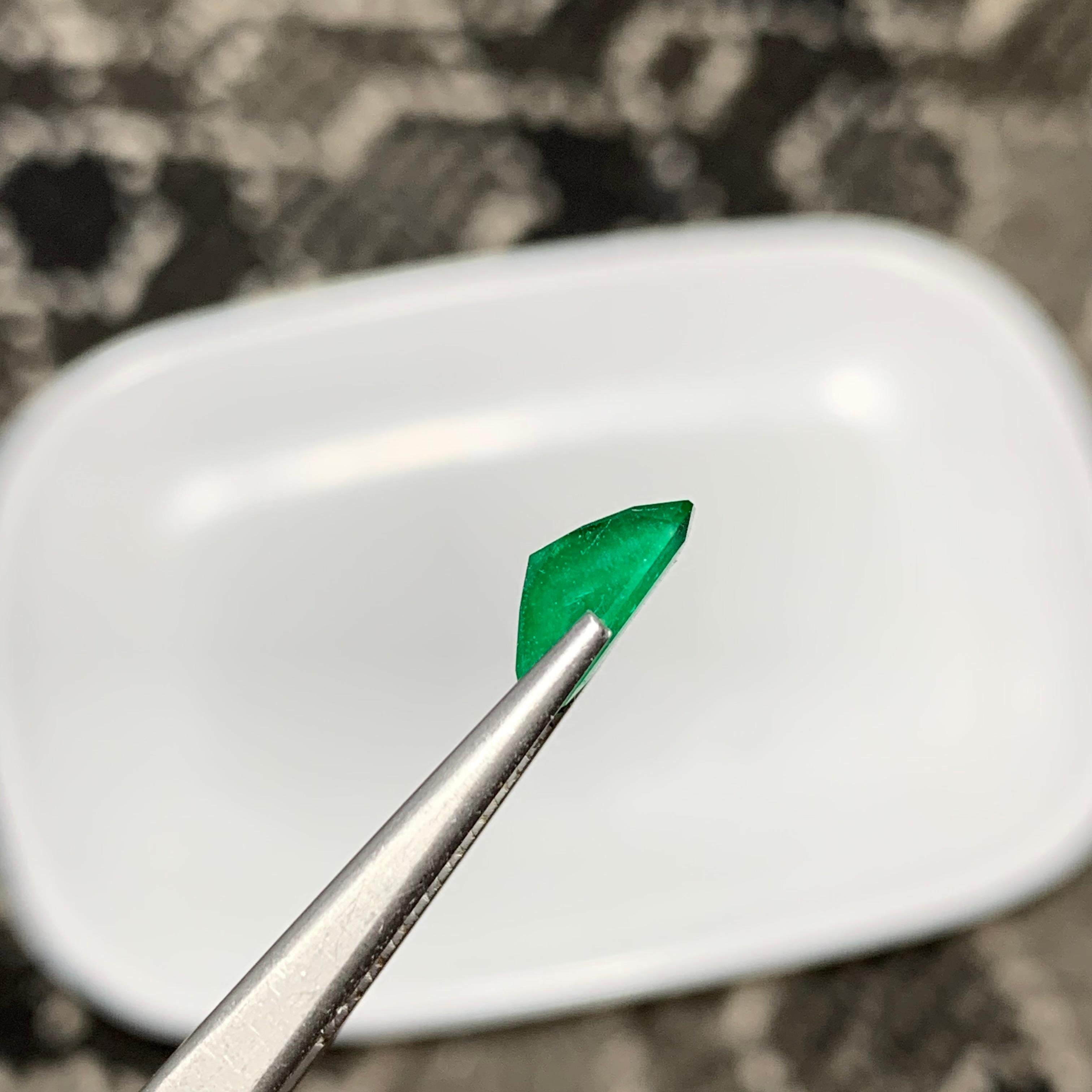 Loose Emerald
Weight: 2.50 Carats
Dimensions: 10.1 x 7.5 x 4.5 Mm
Origin: Swat Pakistan
Shape: Emerald
Color: Green
Treatment: Non
Certificate: On Demand

The Swat Emerald, also known as the Mingora Emerald, is a rare and highly prized gemstone