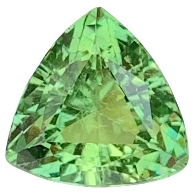 2.50 Carat Natural Loose Mint Green Tourmaline Trillion Shape Gemstone