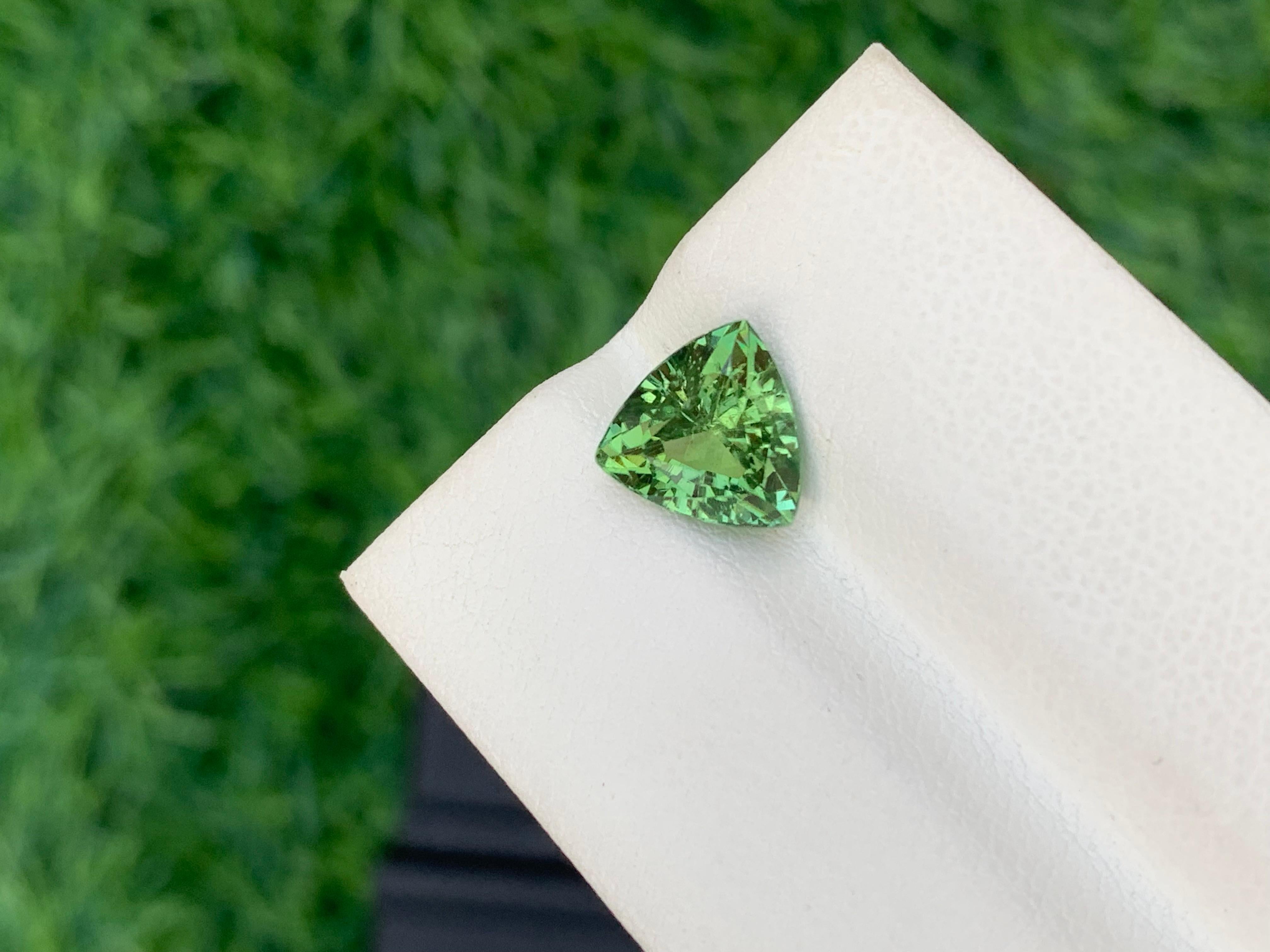 Loser Turmalin

Gewicht: 2,50 Karat
Abmessung: 8.9 x 8.8 x 5.5 Mm
Die Form: Billion
Farbe: Hellgrün
Herkunft: Afghanistan 
Behandlung: Keine
Zertifikat: Auf Kundenwunsch
.
Der Turmalin ist ein atemberaubender und vielseitiger Edelstein, der für sein