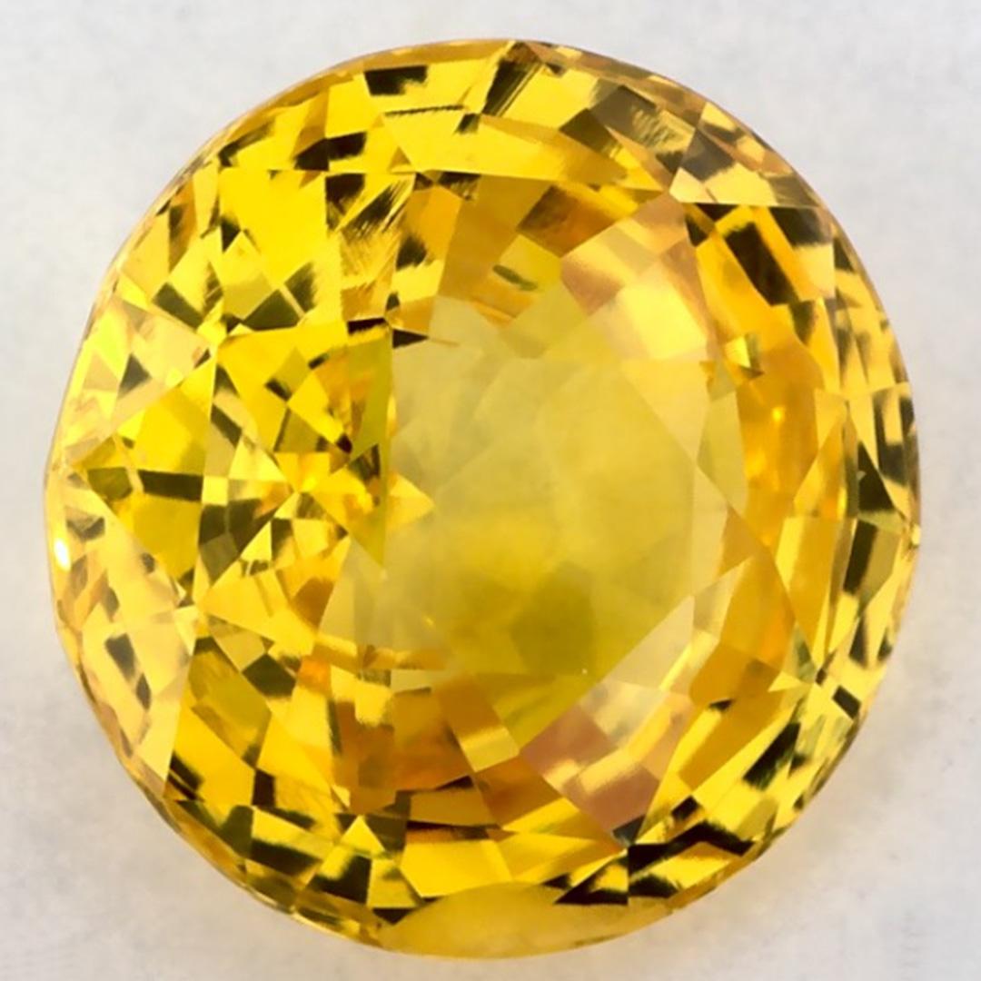 Dieser natürliche gelbe Saphir bietet Eleganz und Raffinesse. Mit seiner satten Farbsättigung und seinem präzisen Schliff ist er der perfekte Mittelpunkt für einen Verlobungsring oder ein luxuriöses Schmuckdesign.

Dieser Saphir stammt aus Sri Lanka