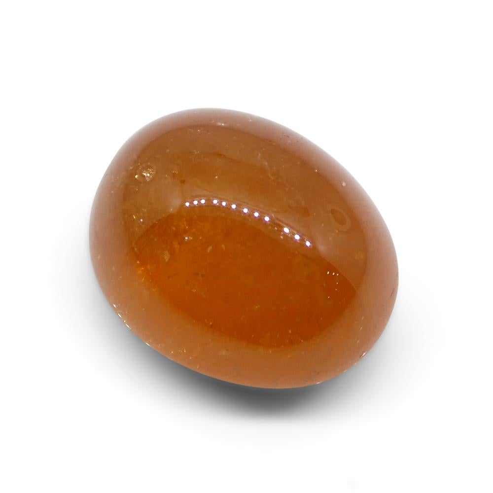 25.06ct Oval Cabochon Orange Mandarin Spessartine Garnet from Nigeria For Sale 6