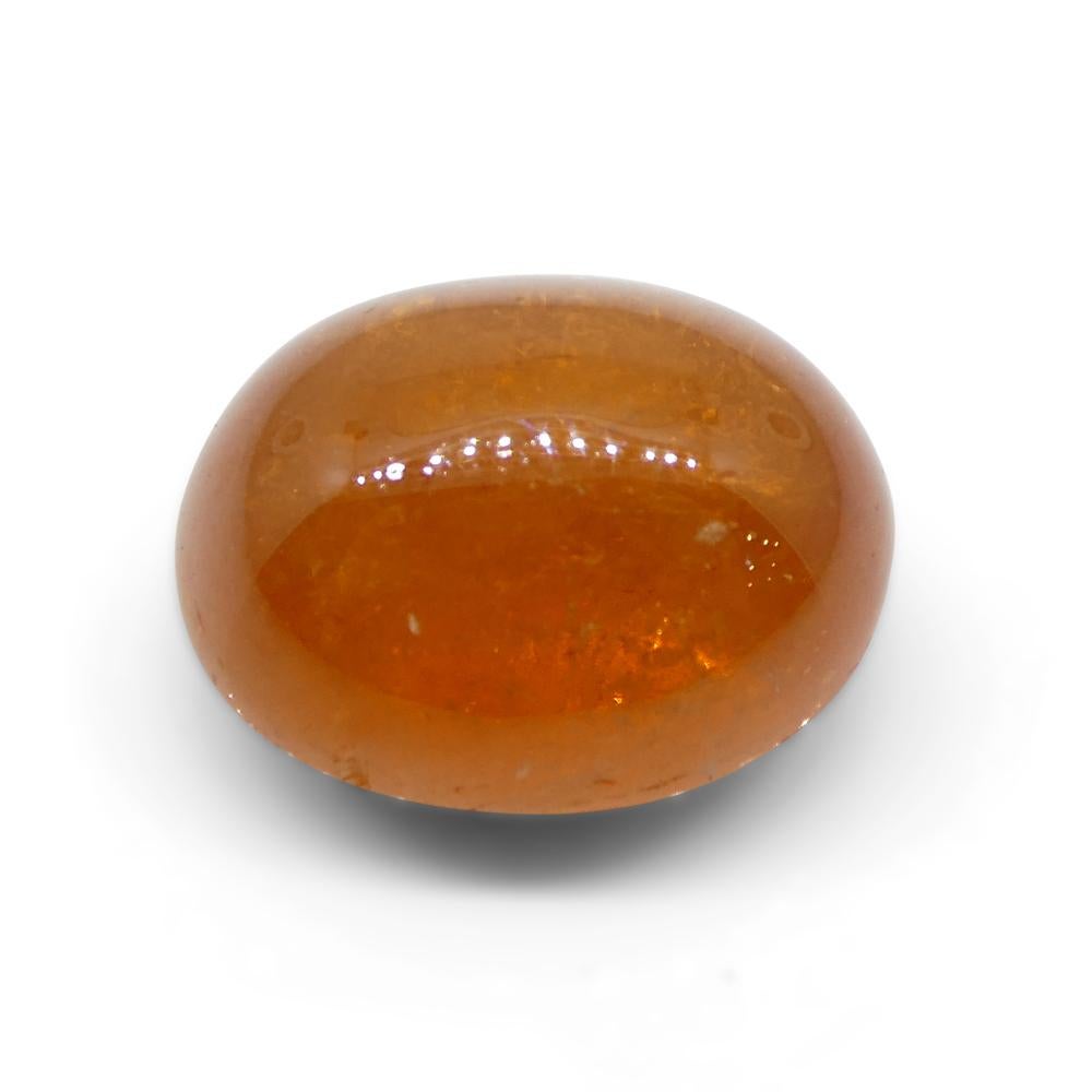 25.06ct Oval Cabochon Orange Mandarin Spessartine Garnet from Nigeria For Sale 7