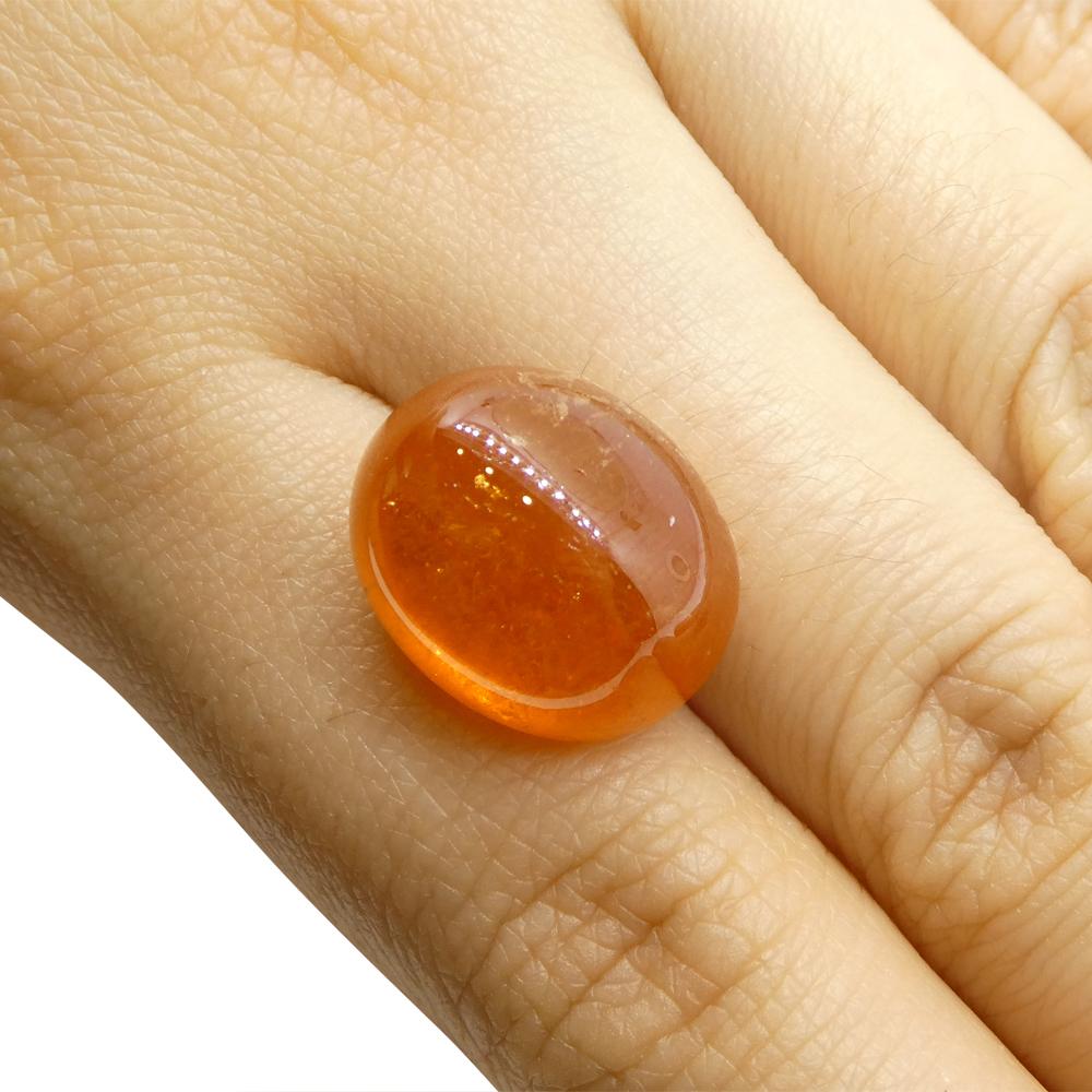 Description:

Gem Type: Spessartine Garnet
Number of Stones: 1
Weight: 25.06 cts
Measurements: 16.27 x 13.69 x 10.44 mm
Shape: Oval Cabochon
Cutting Style Crown:
Cutting Style Pavilion:
Transparency: Semi-Transparent
Clarity: Moderately Included: