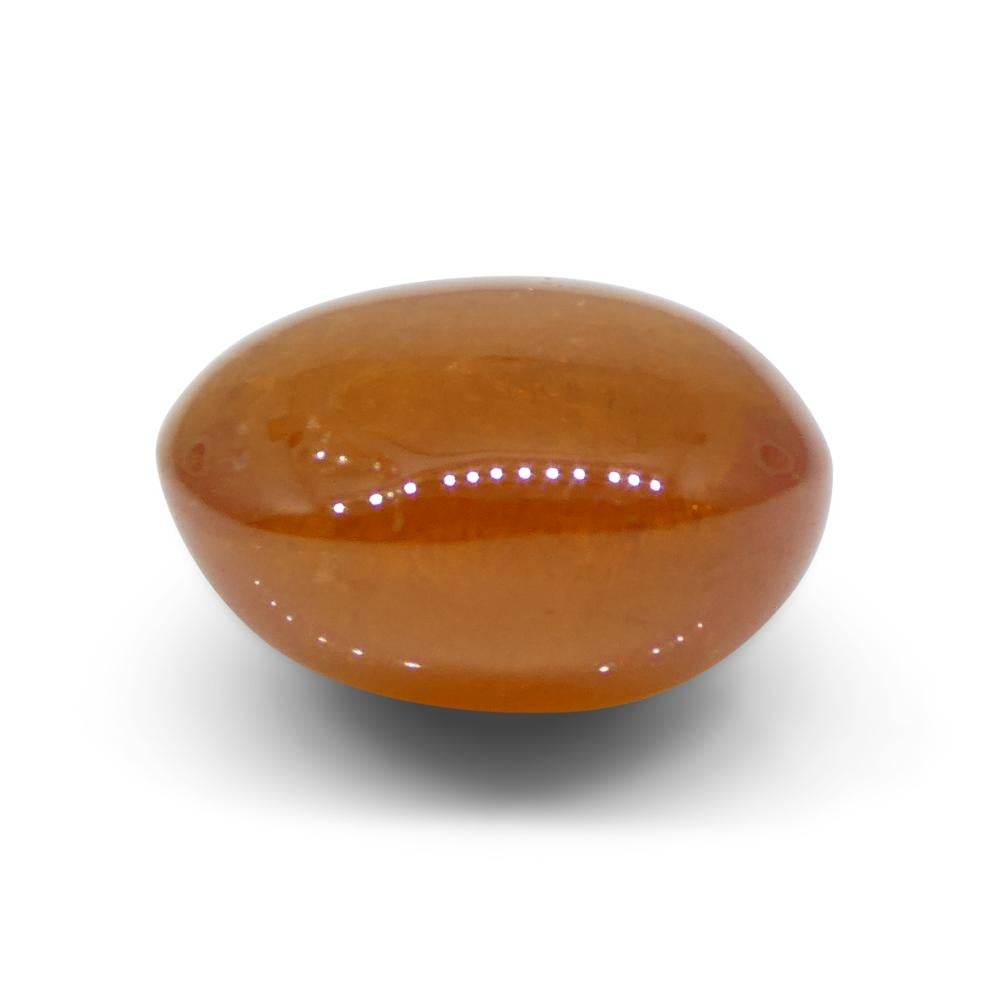 25.06ct Oval Cabochon Orange Mandarin Spessartine Garnet from Nigeria In New Condition For Sale In Toronto, Ontario