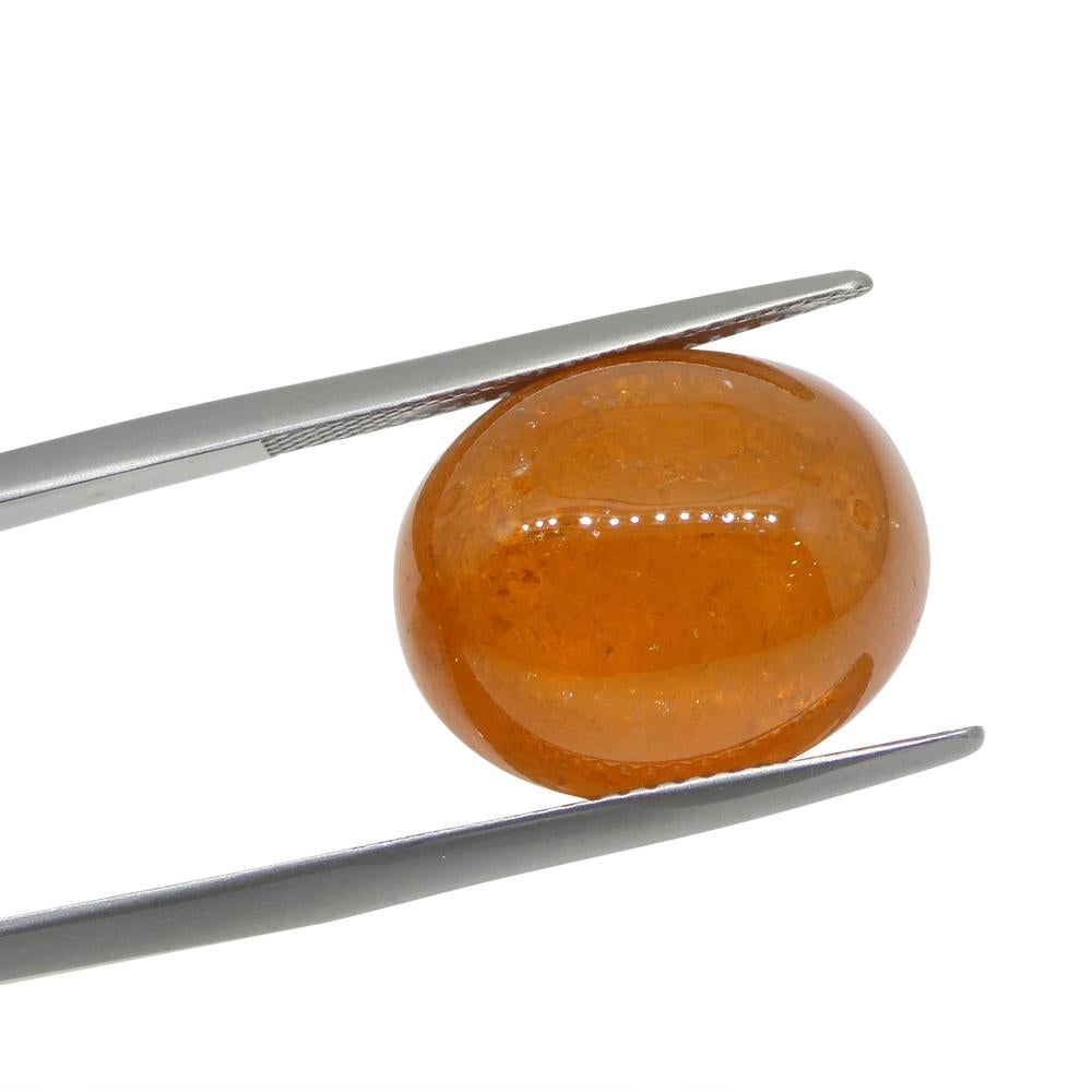 25.06ct Oval Cabochon Orange Mandarin Spessartine Garnet from Nigeria For Sale 1
