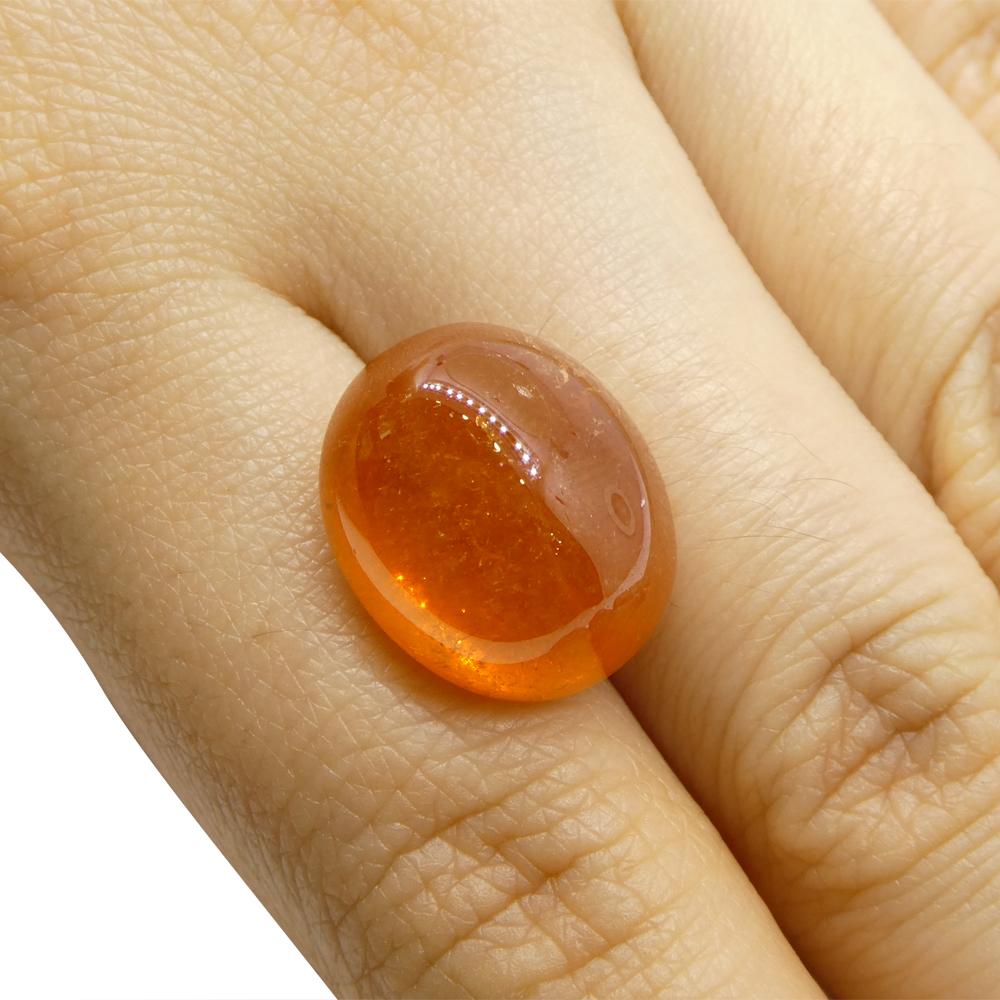 25.06ct Oval Cabochon Orange Mandarin Spessartine Garnet from Nigeria For Sale 2