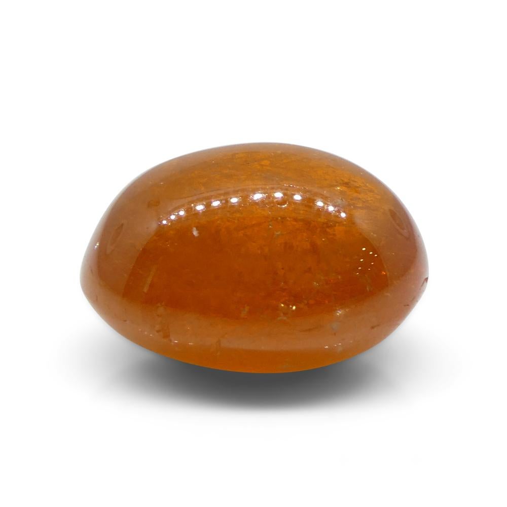 25.06ct Oval Cabochon Orange Mandarin Spessartine Garnet from Nigeria For Sale 3
