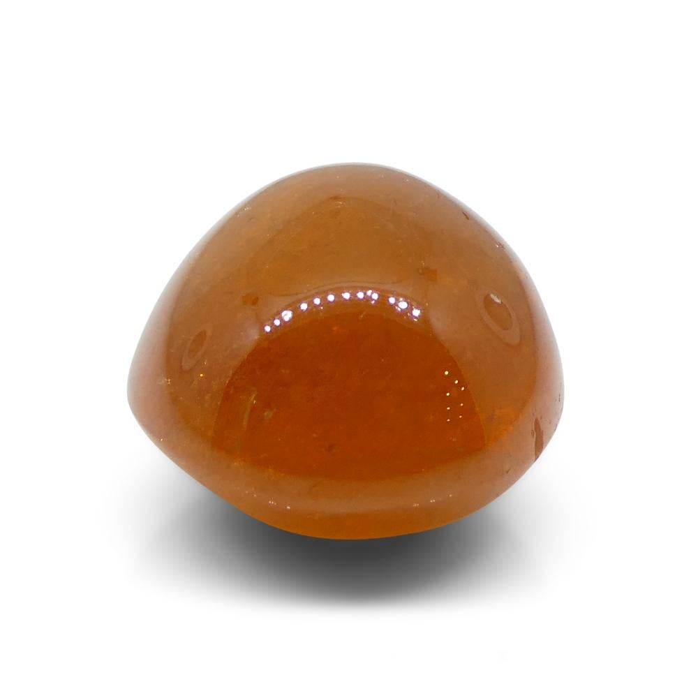 25.06ct Oval Cabochon Orange Mandarin Spessartine Garnet from Nigeria For Sale 4