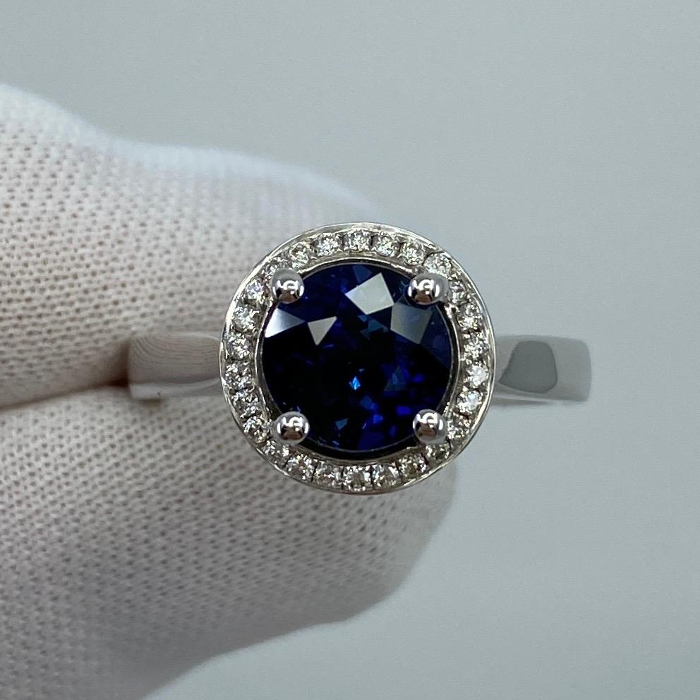 2.50ct Carat Fine Ceylon Blue Sapphire and Diamond 18k White Gold Halo Ring For Sale 5