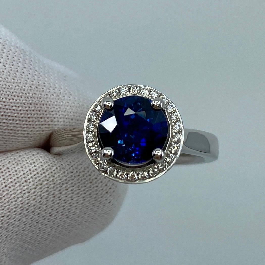 2.50ct Carat Fine Ceylon Blue Sapphire and Diamond 18k White Gold Halo Ring For Sale 7