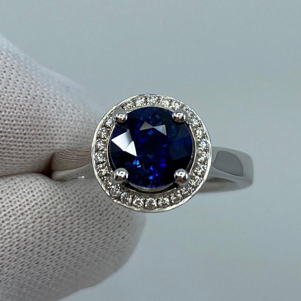 2.50ct Carat Fine Ceylon Blue Sapphire and Diamond 18k White Gold Halo Ring For Sale 8