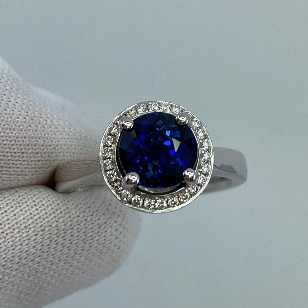 Round Cut 2.50ct Carat Fine Ceylon Blue Sapphire and Diamond 18k White Gold Halo Ring For Sale